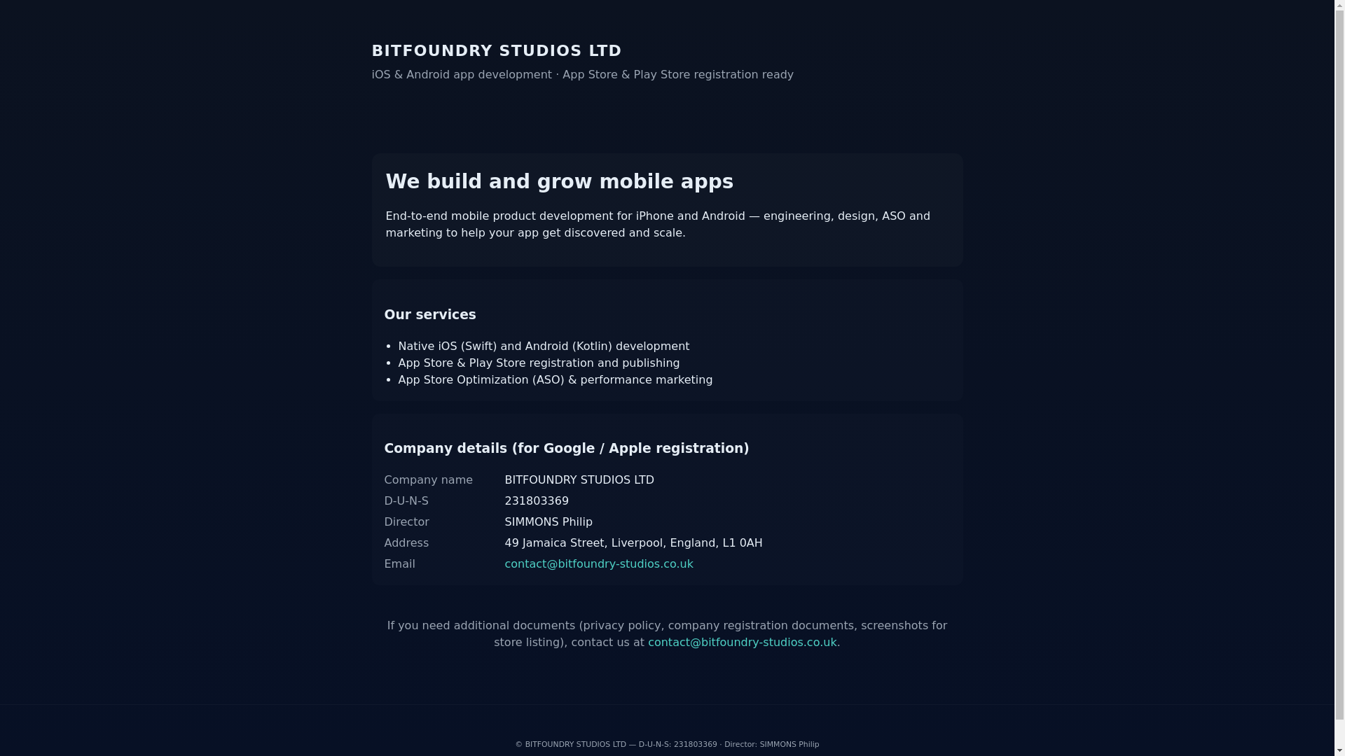 website screenshot of https://bitfoundrystudios.pages.dev/