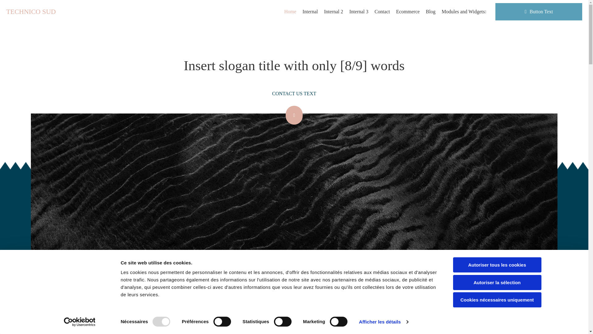 website screenshot of https://technicosud.fr/