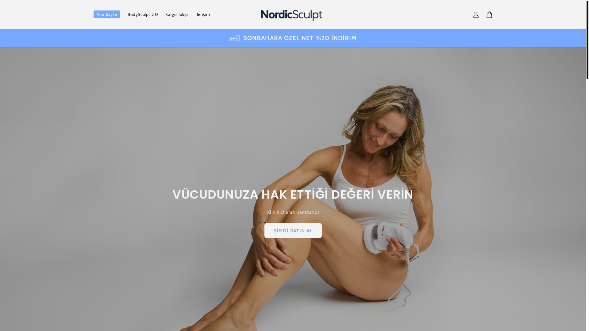 website screenshot of https://nordicsculp.store/