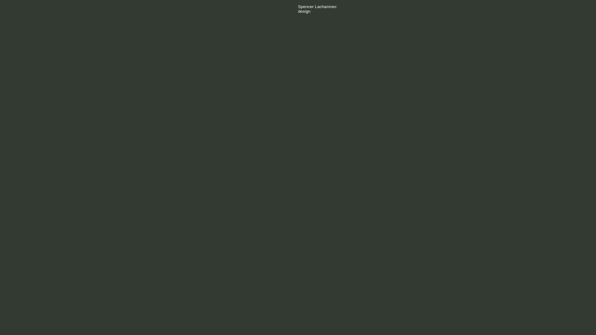 website screenshot of https://lachmanec.pages.dev/