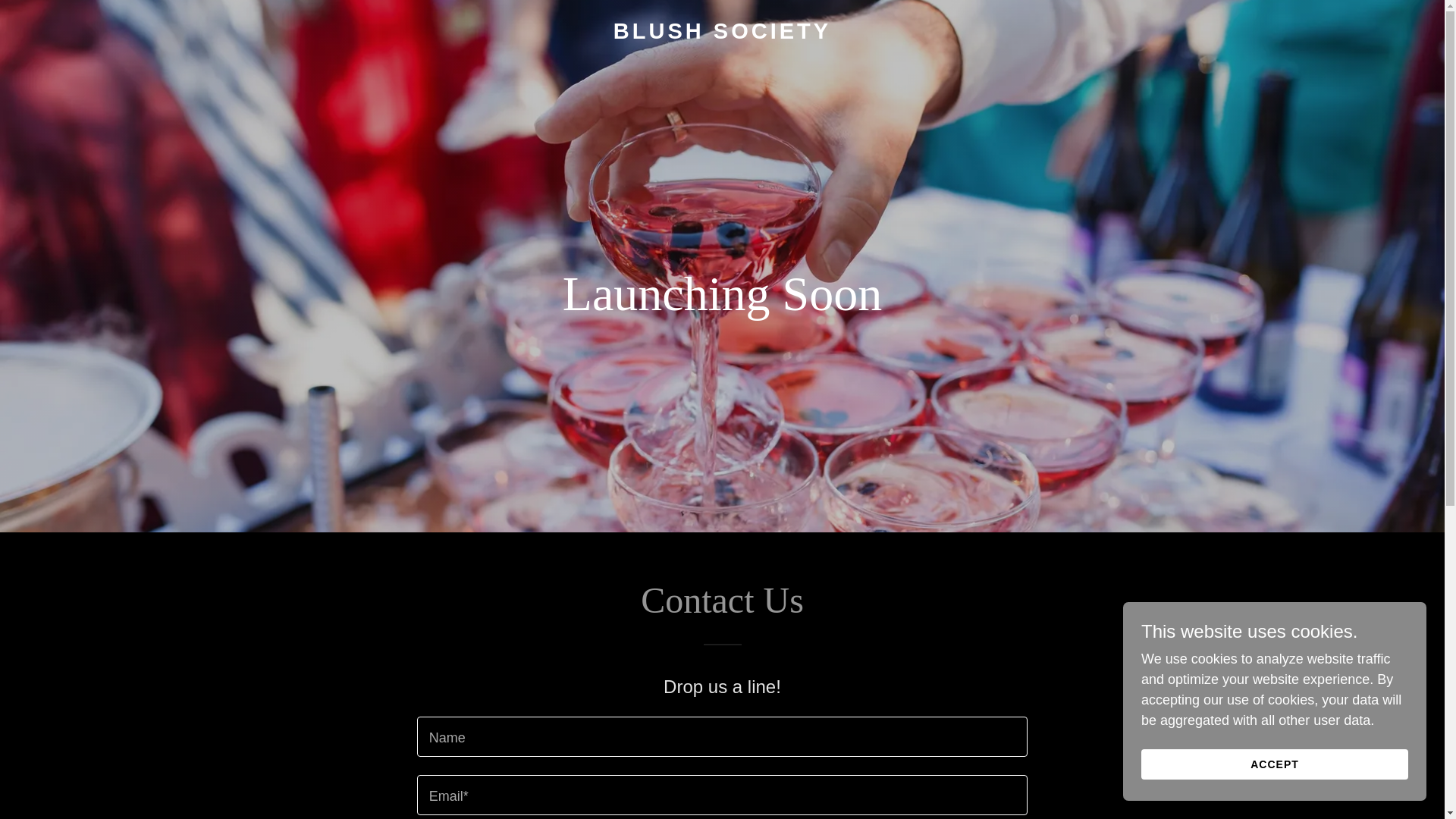 website screenshot of https://blushsociety.org/