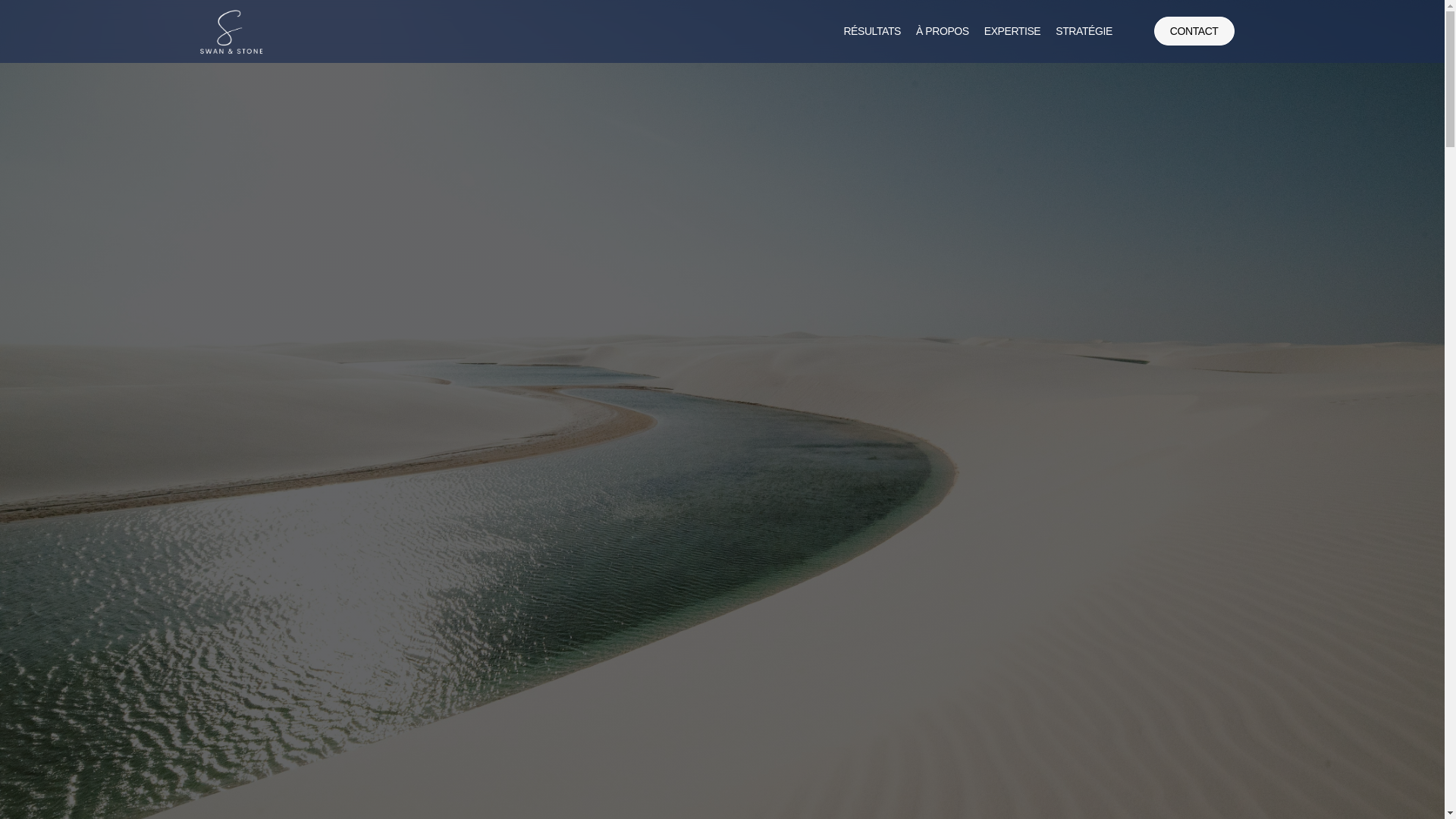 website screenshot of https://swanandstonepartgroup.com/