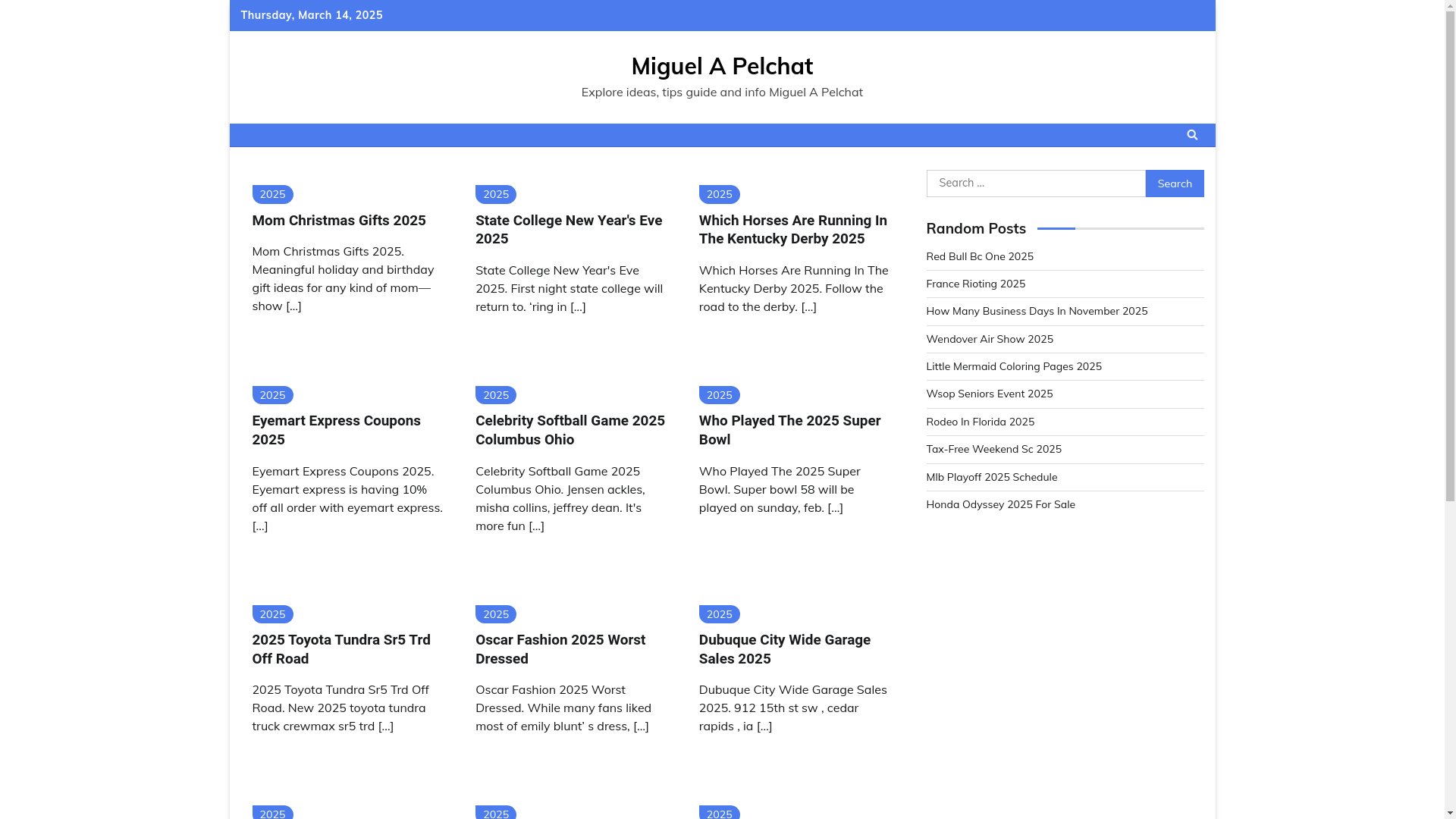 website screenshot of https://miguelapelchatm.pages.dev/