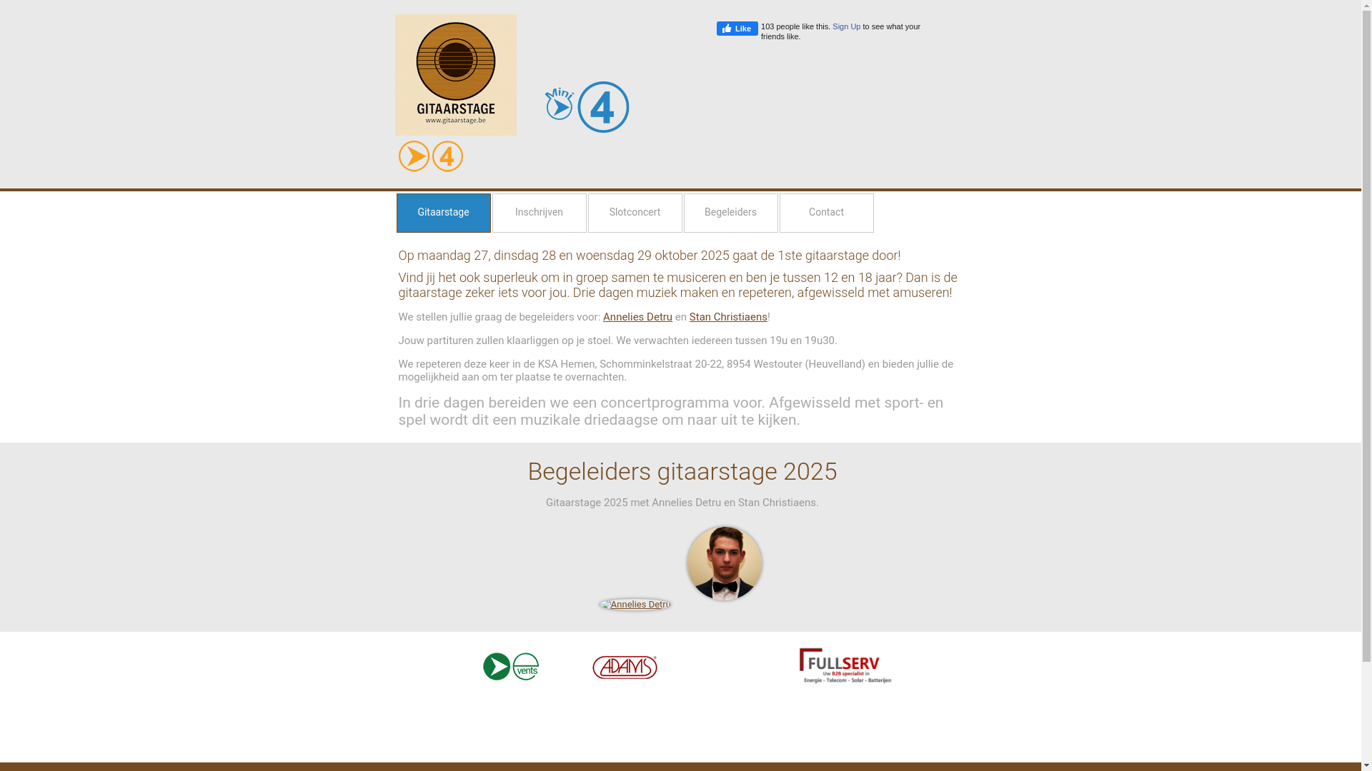 website screenshot of https://gitaarstage.be/