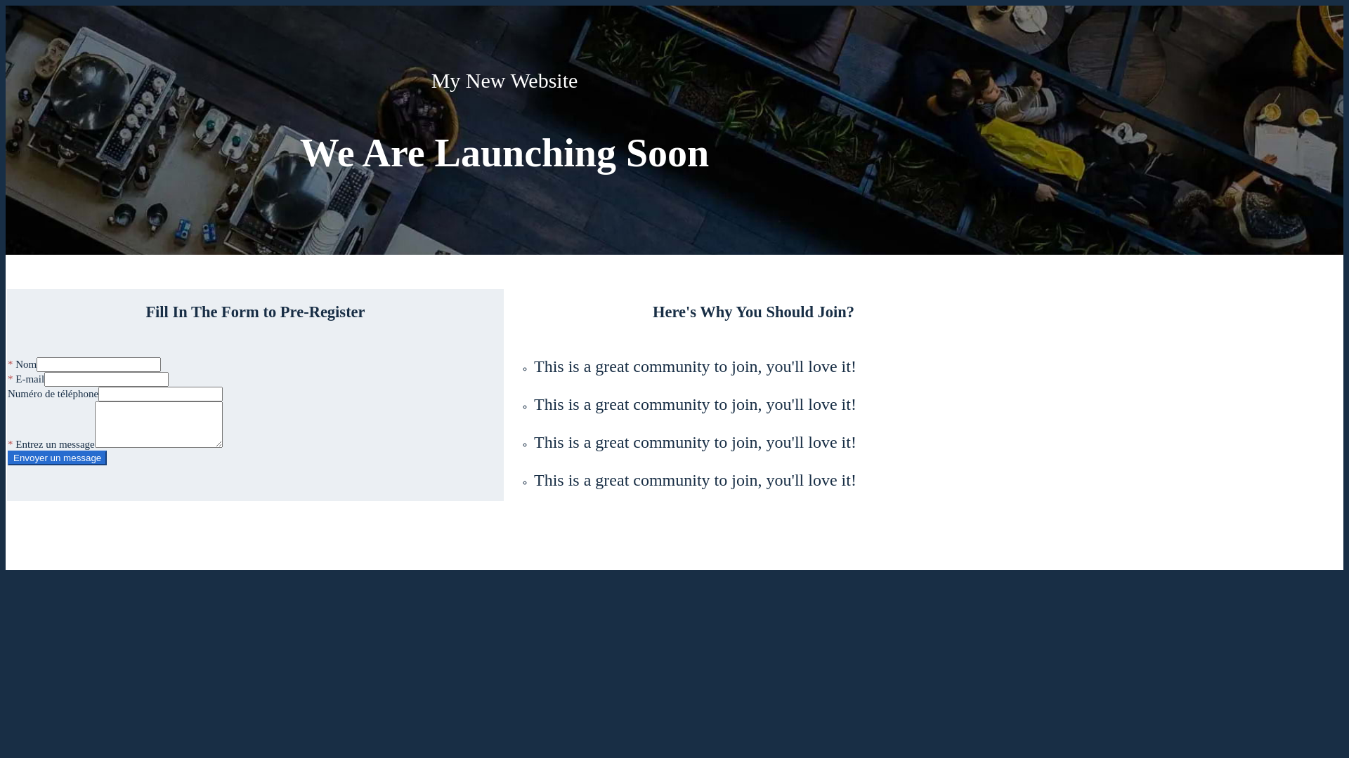 website screenshot of https://localstudentagent.com/