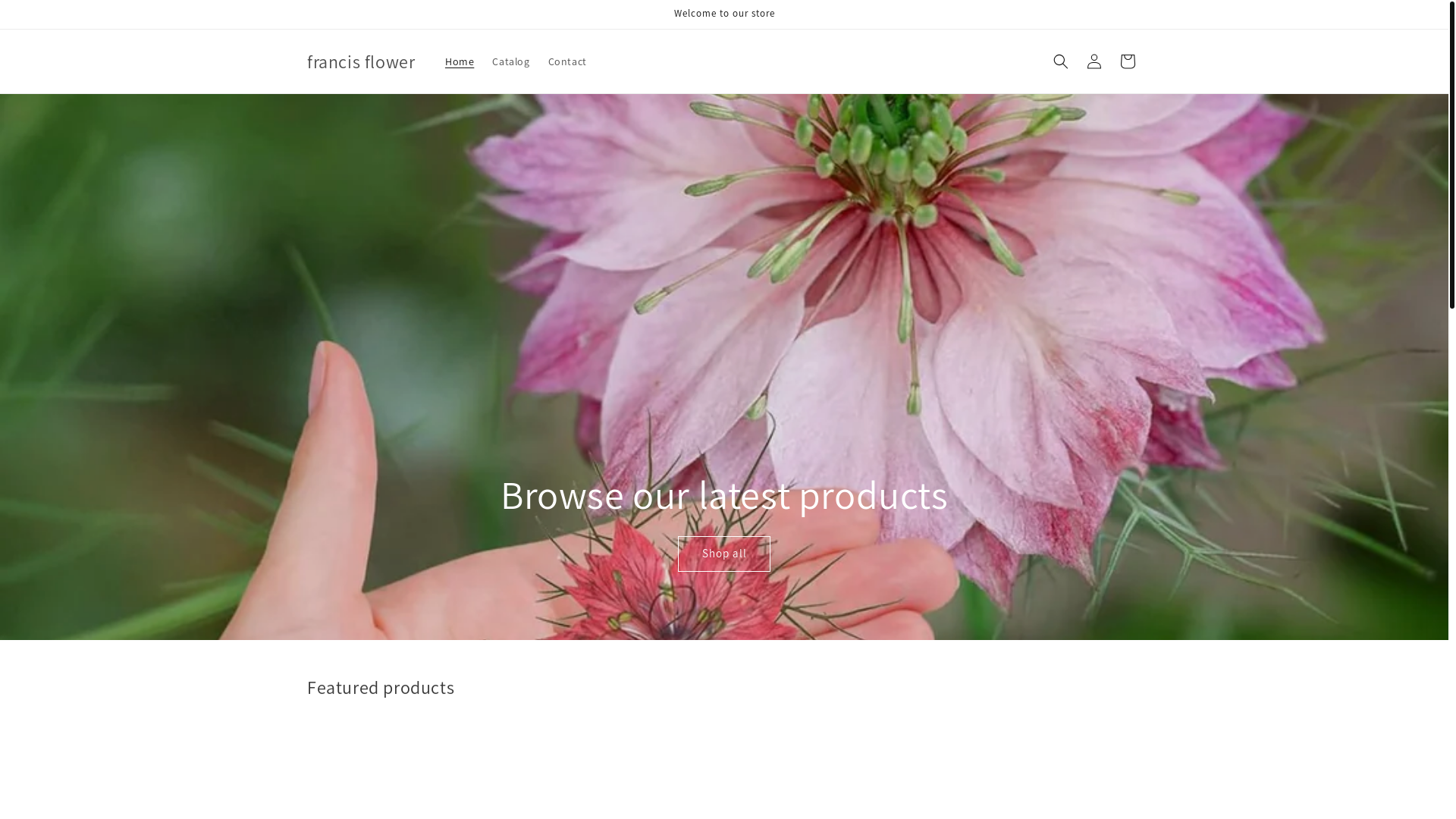 website screenshot of https://francisflower.store/
