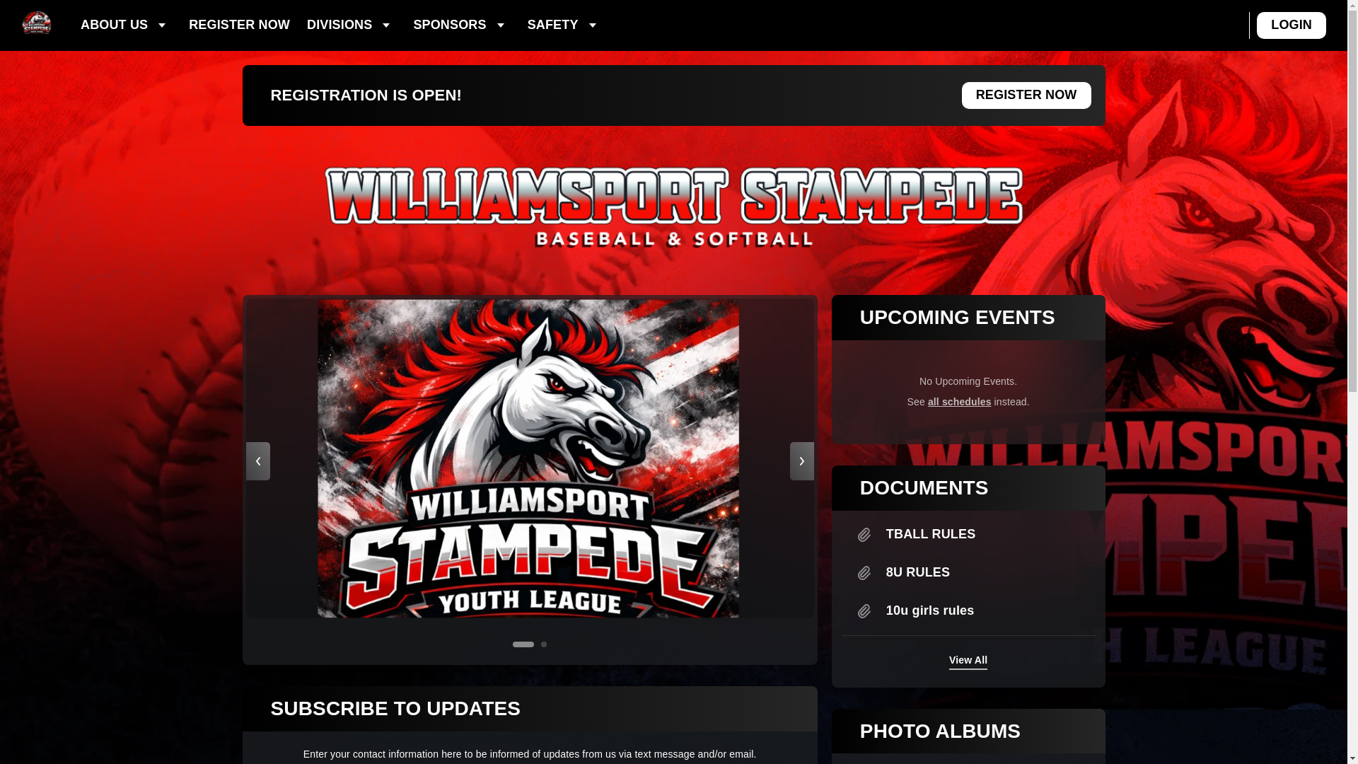 website screenshot of https://wsyouthleague.com/
