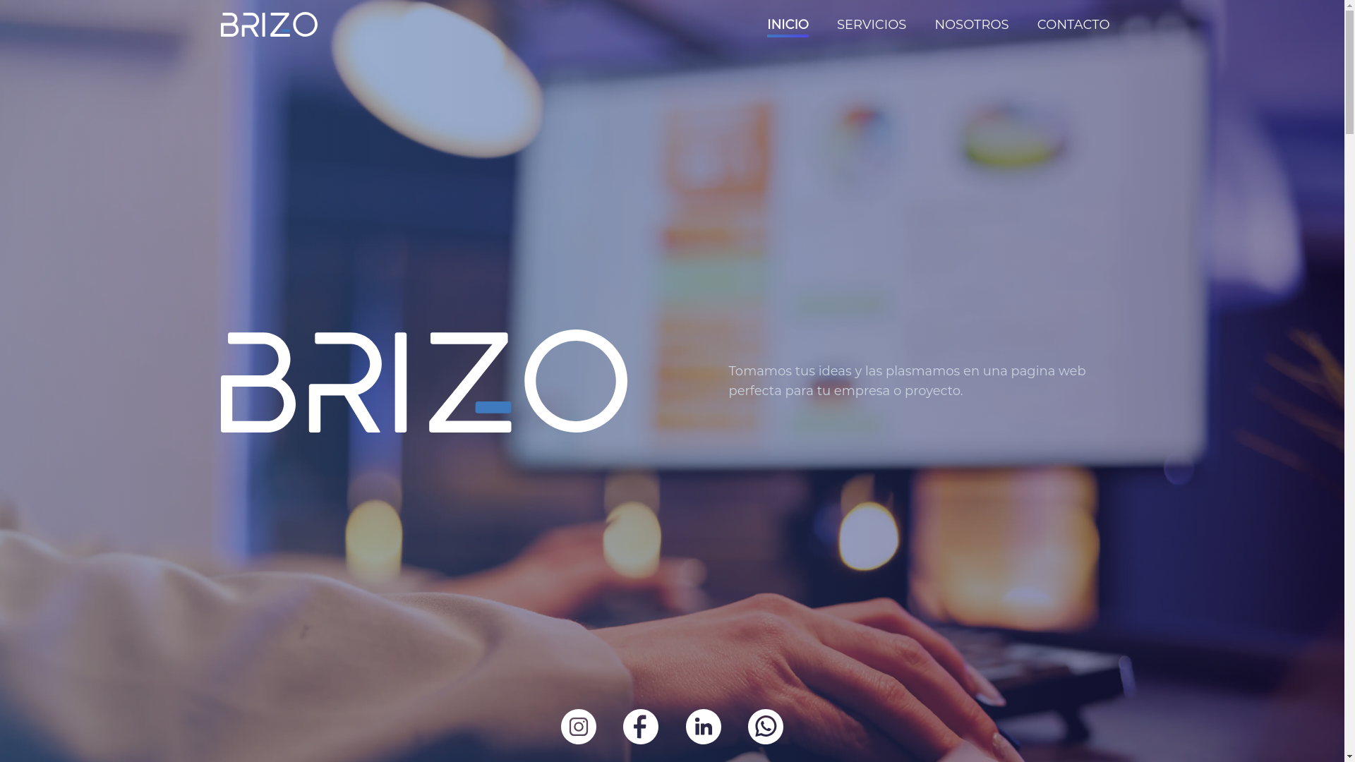 website screenshot of https://brizocreative.com/