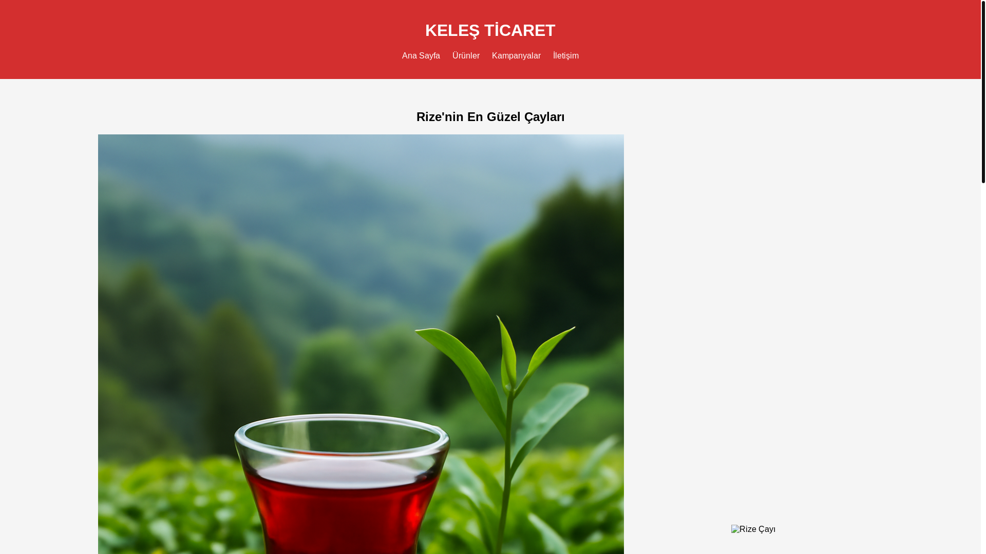 website screenshot of https://rizekelescay.com/