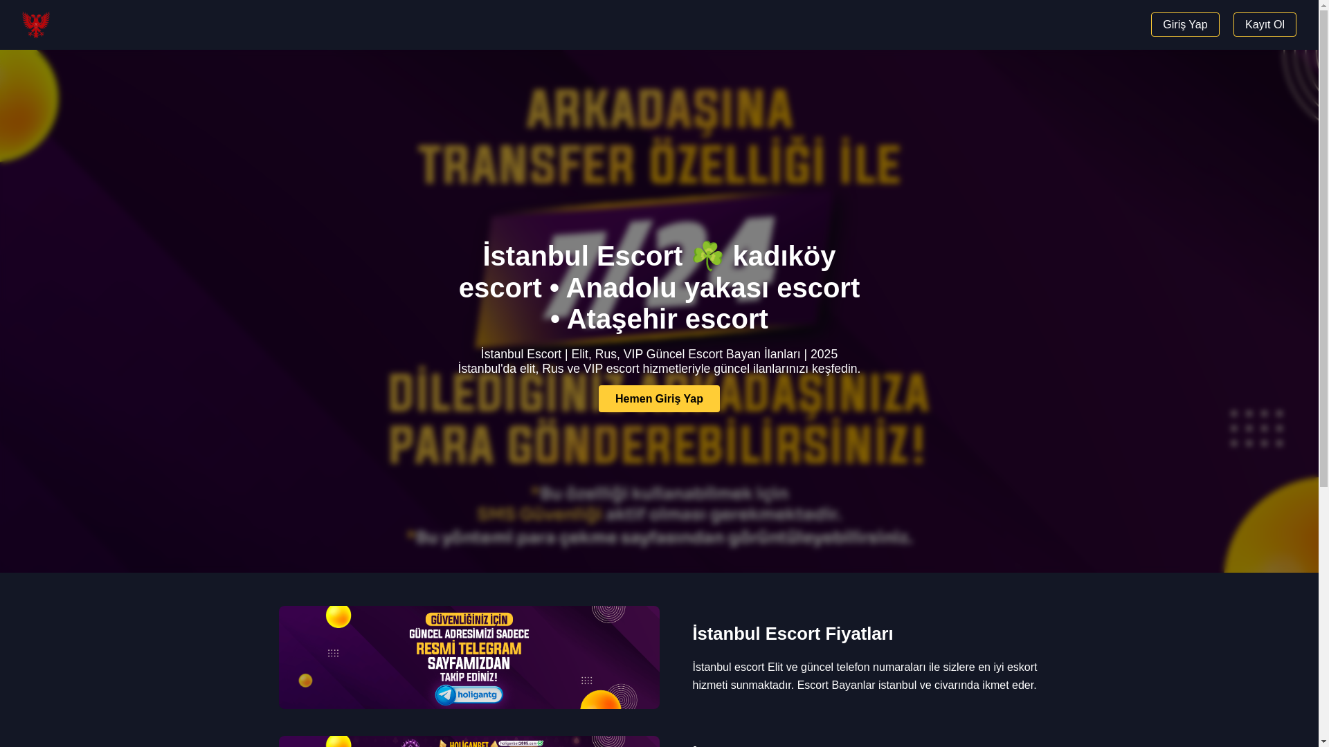 website screenshot of https://istanbulcecenler8.uno/