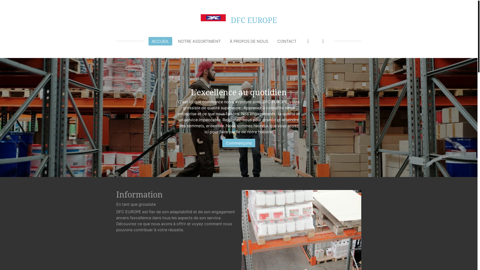 website screenshot of https://dfc-europe.com/