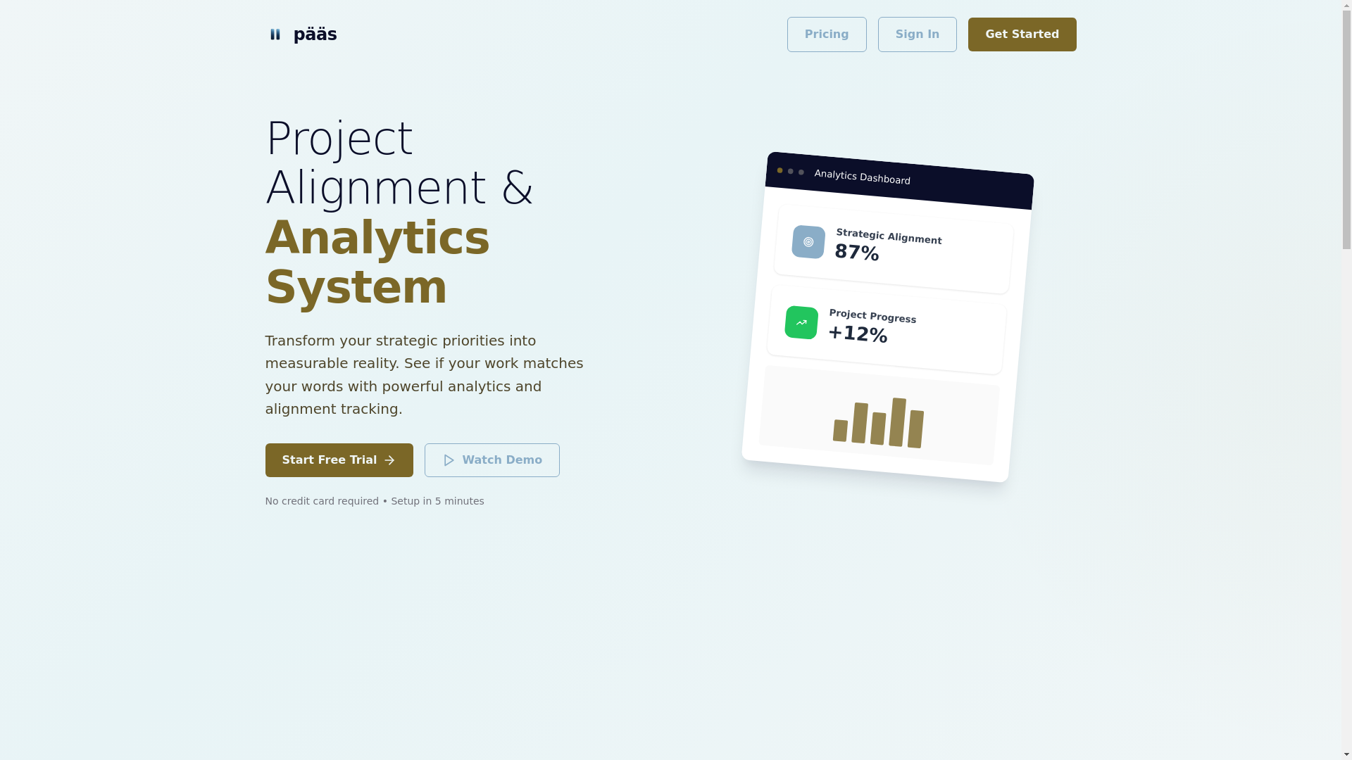 website screenshot of https://paasapp.com/