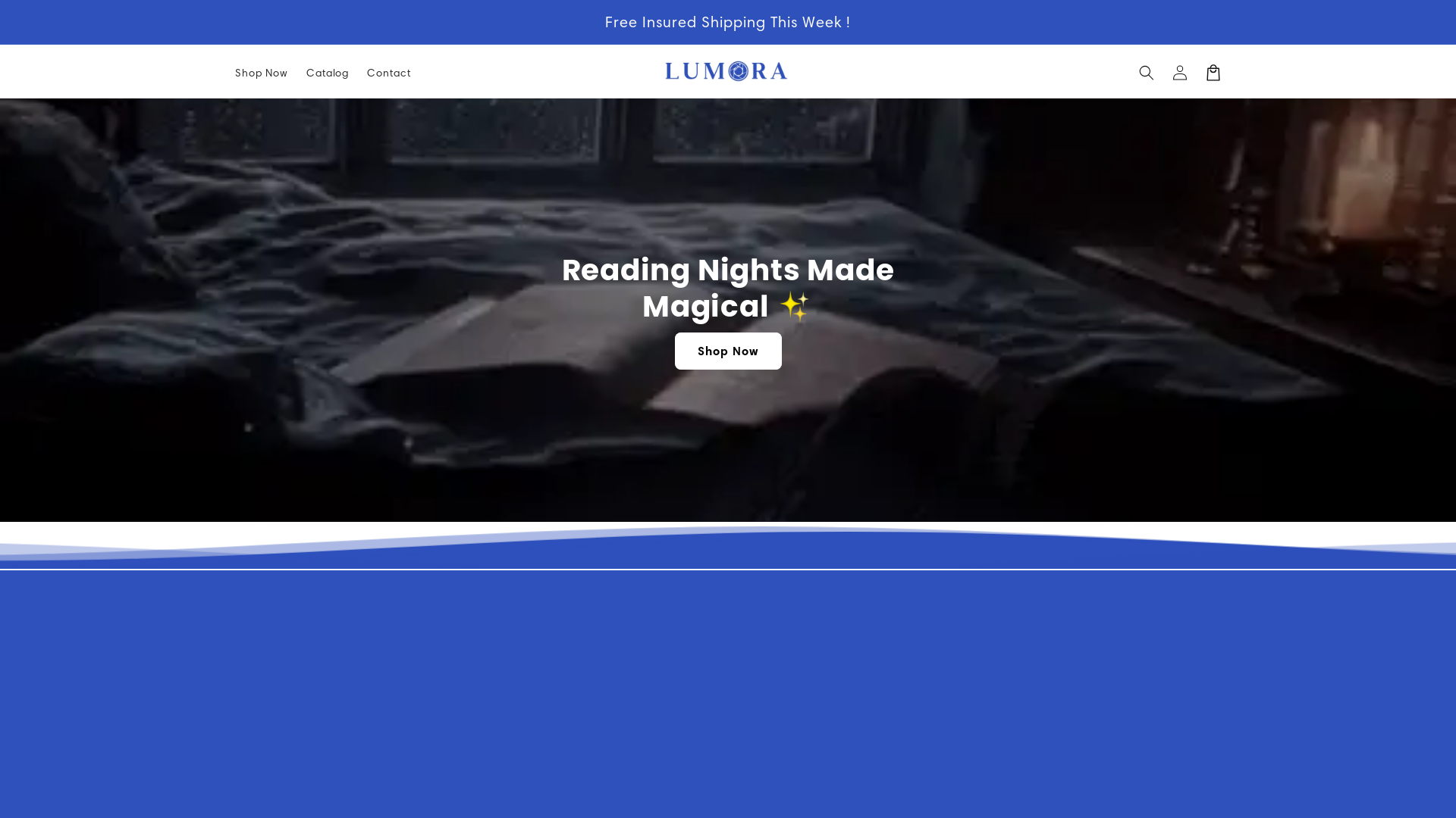 website screenshot of https://thelumoras.store/