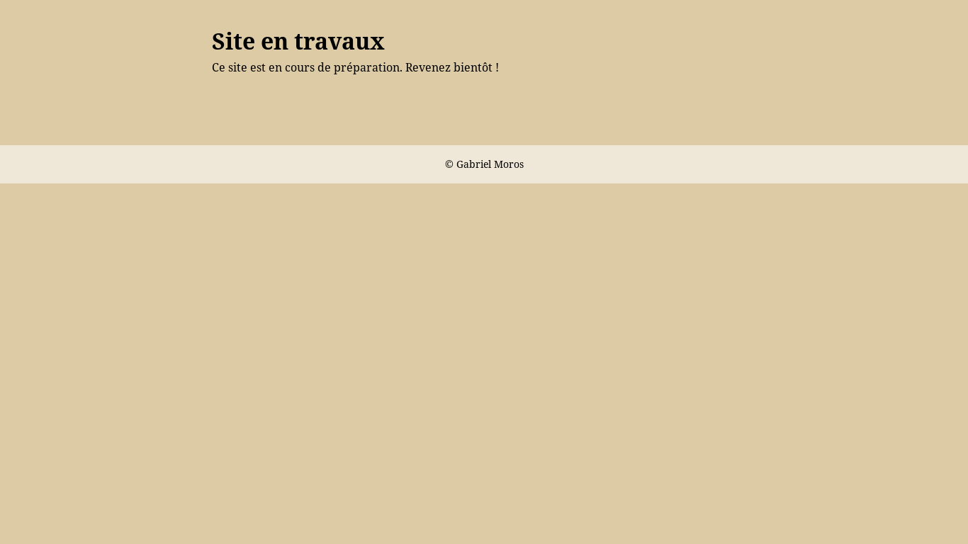 website screenshot of https://gabrielmoros.org/