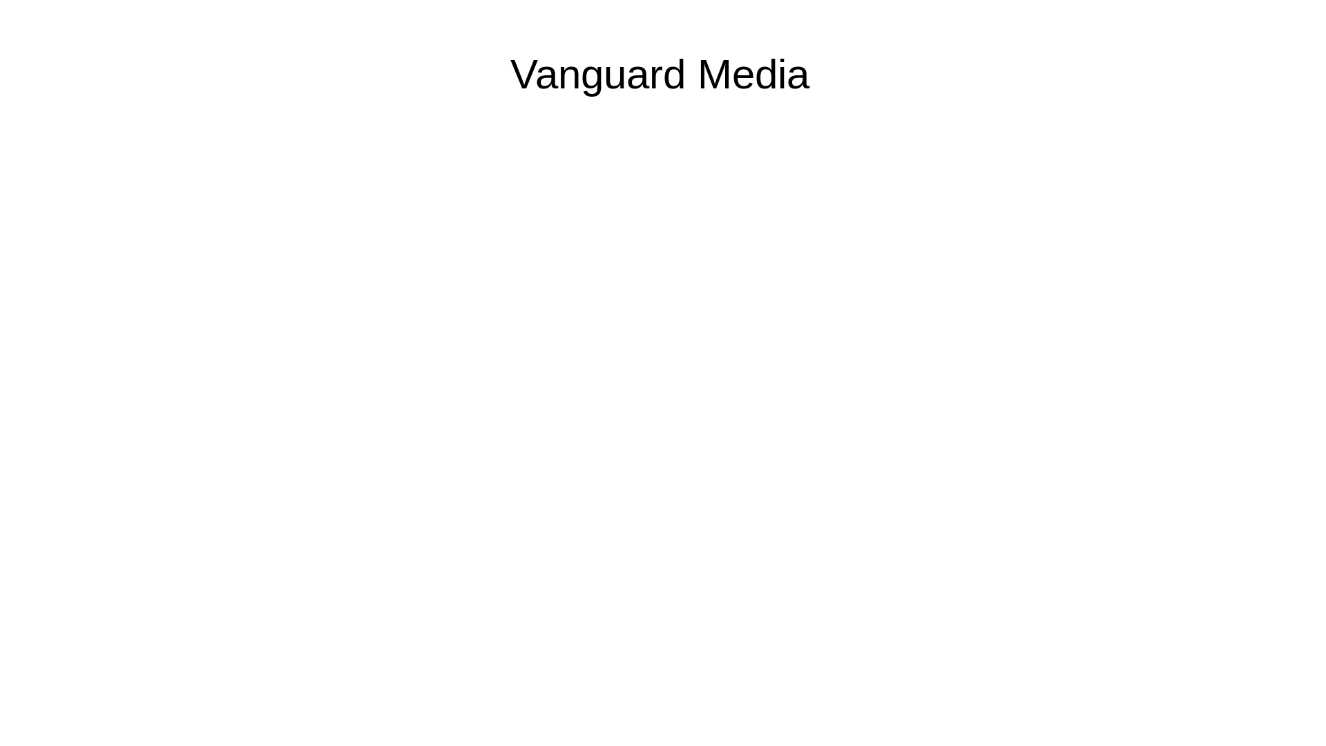 website screenshot of https://vanguardmedia-co.com/
