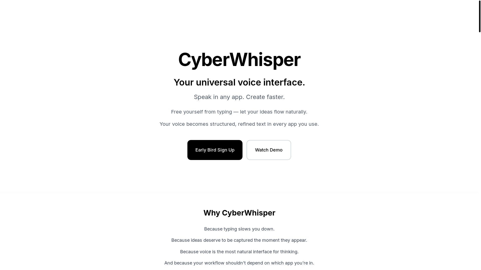 website screenshot of https://cyberwhisper.ai/