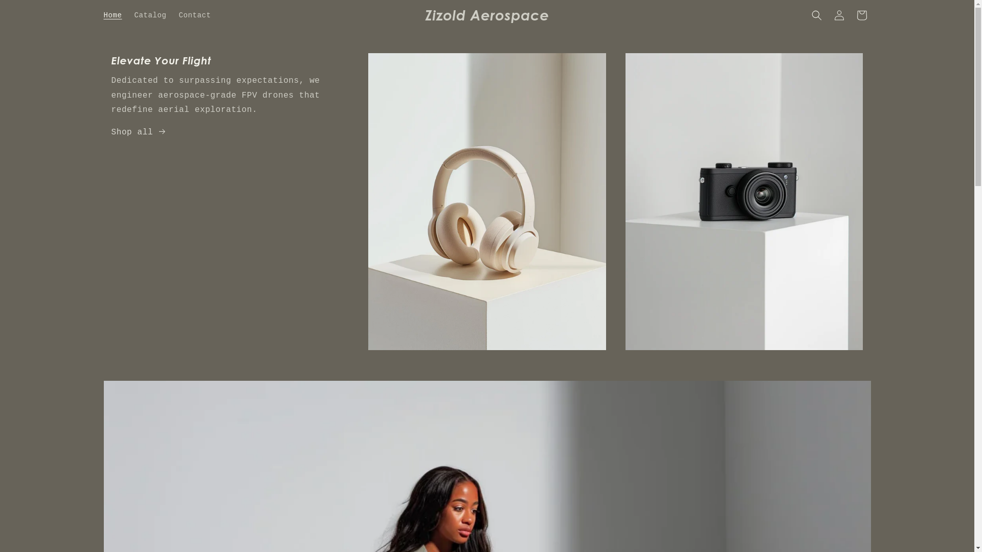 website screenshot of https://zizoldaerospace.com/