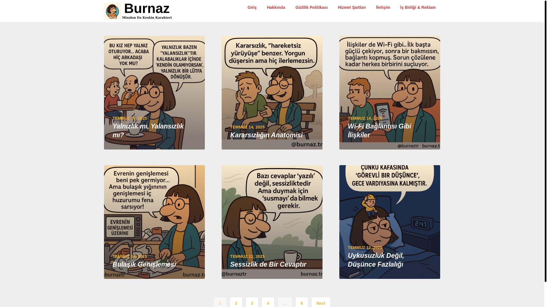 website screenshot of https://burnaz.tr