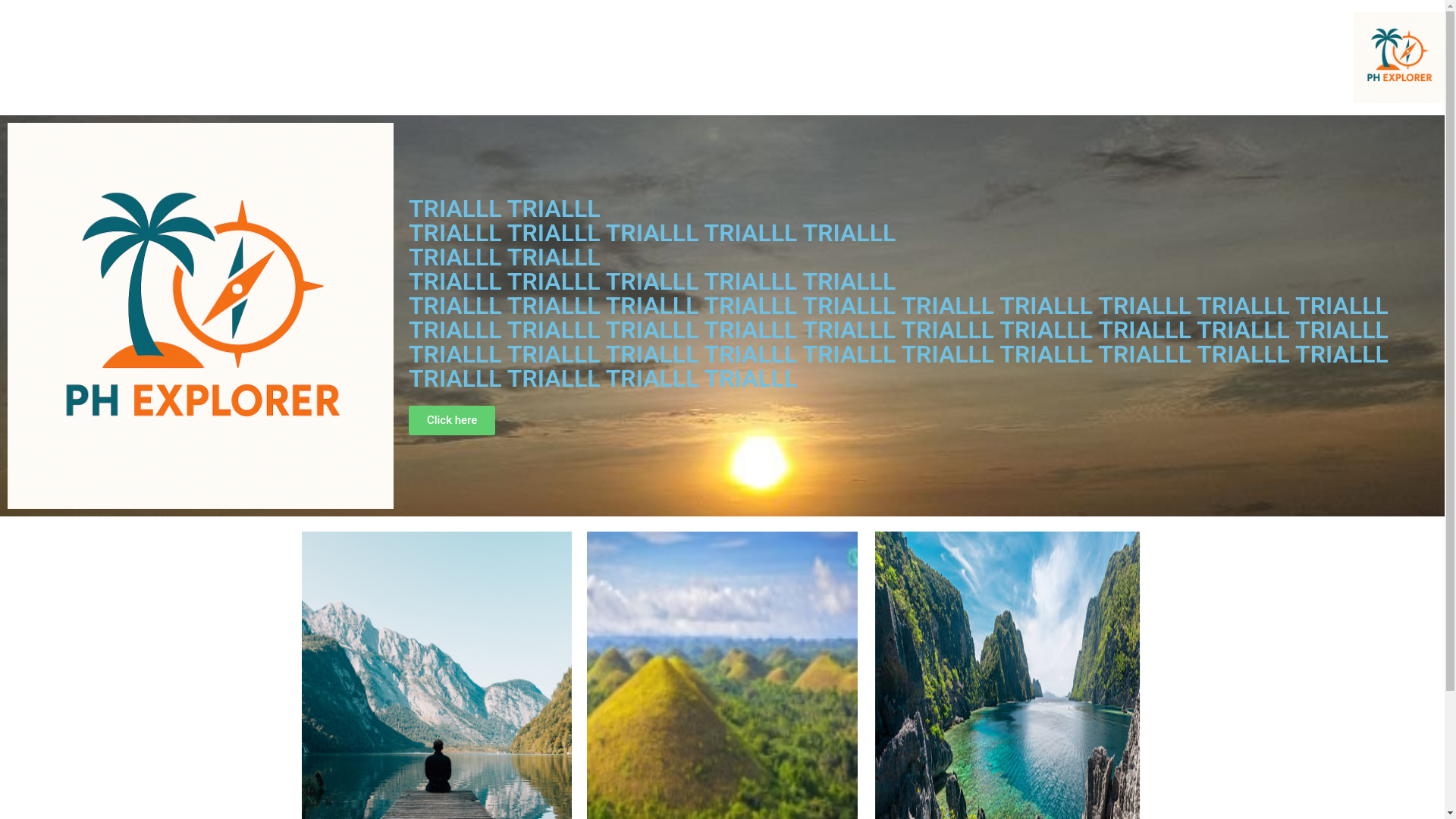 website screenshot of https://phexplorer.com/