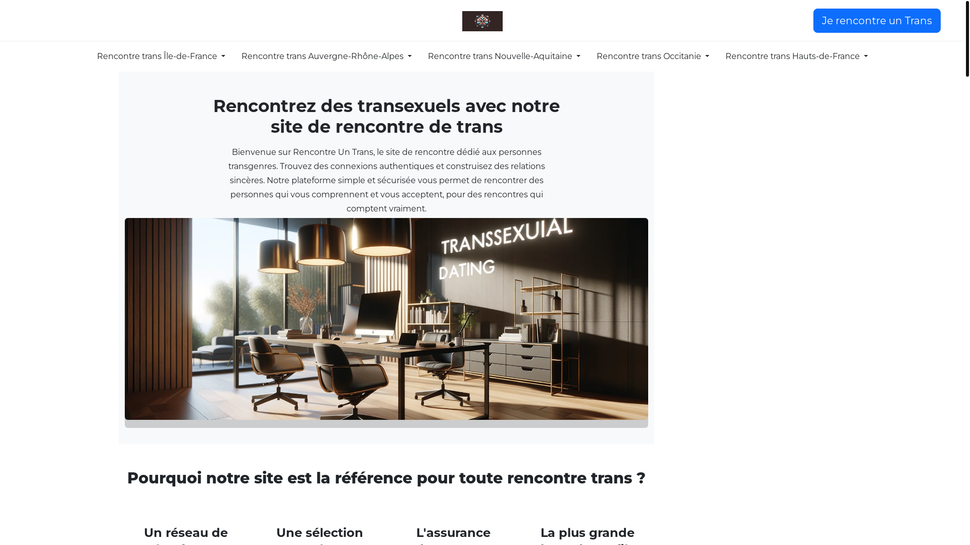 website screenshot of https://rencontreuntrans.eu/