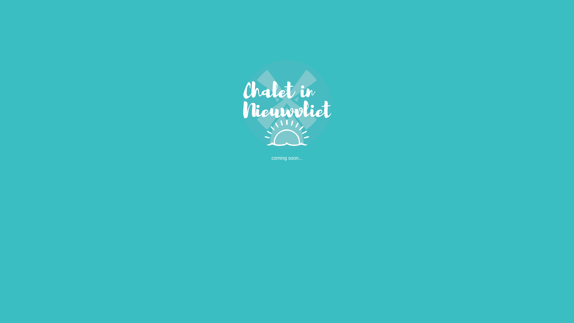 website screenshot of https://chalet-in-nieuwvliet.de/