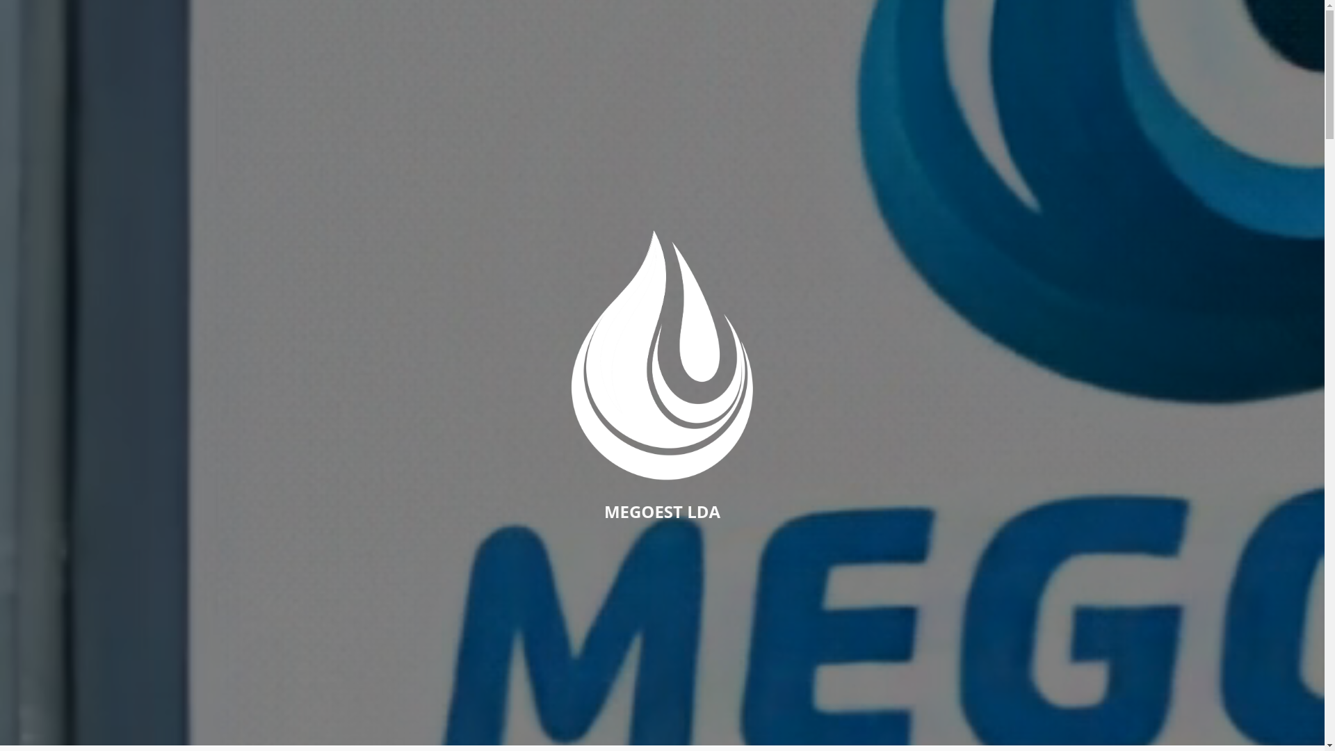 website screenshot of https://megoest.com/