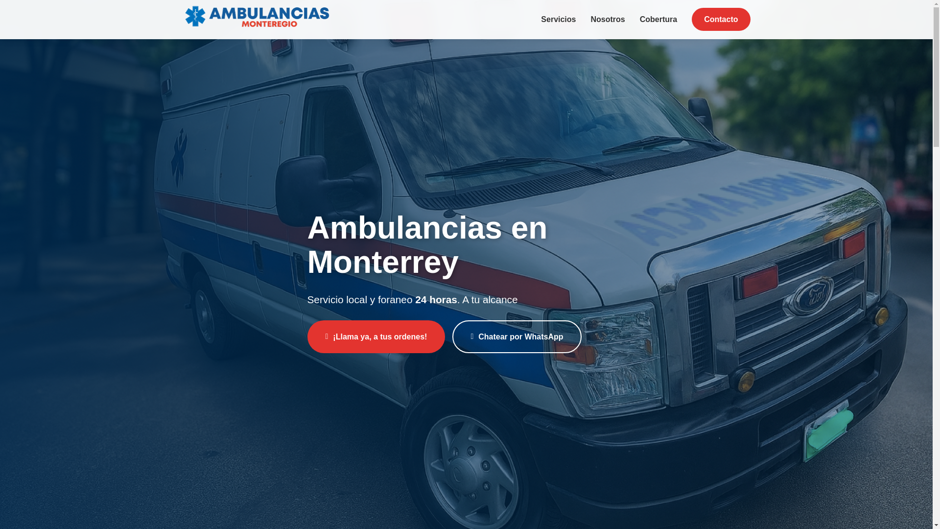 website screenshot of https://ambulanciasmonteregio.com/