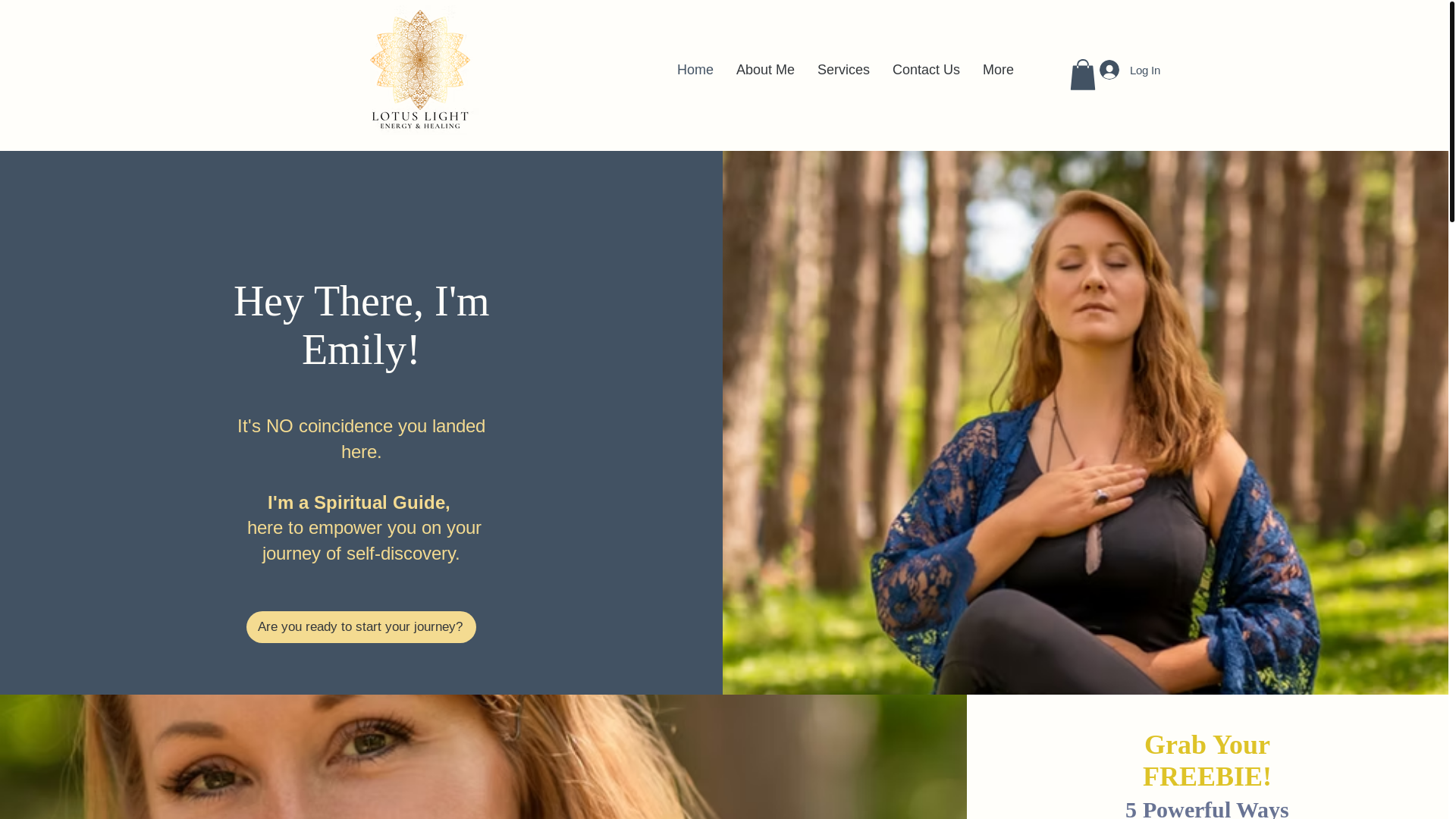 website screenshot of https://emilyellenberger.com/