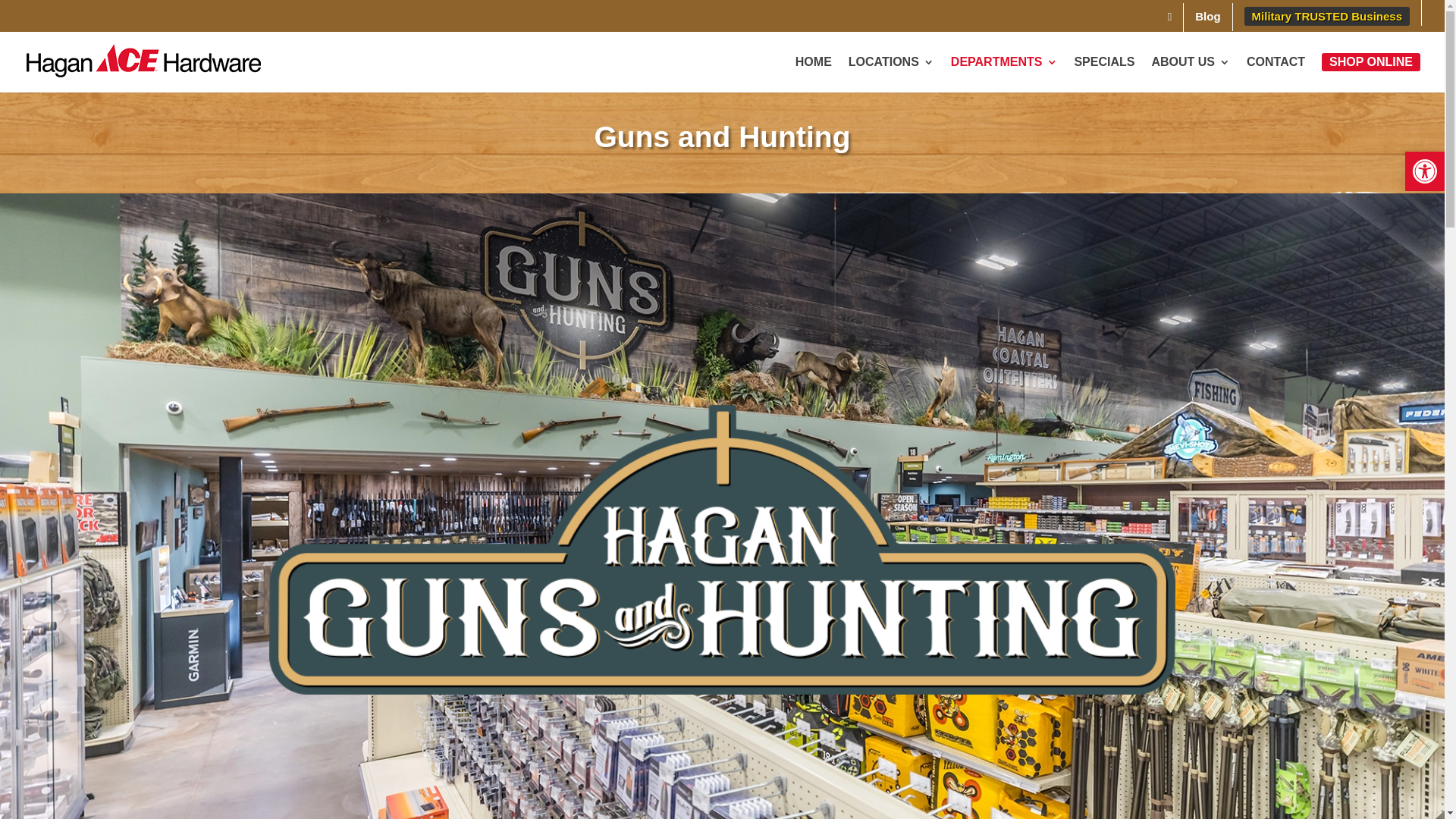 website screenshot of https://hagangunsandhunting.com/