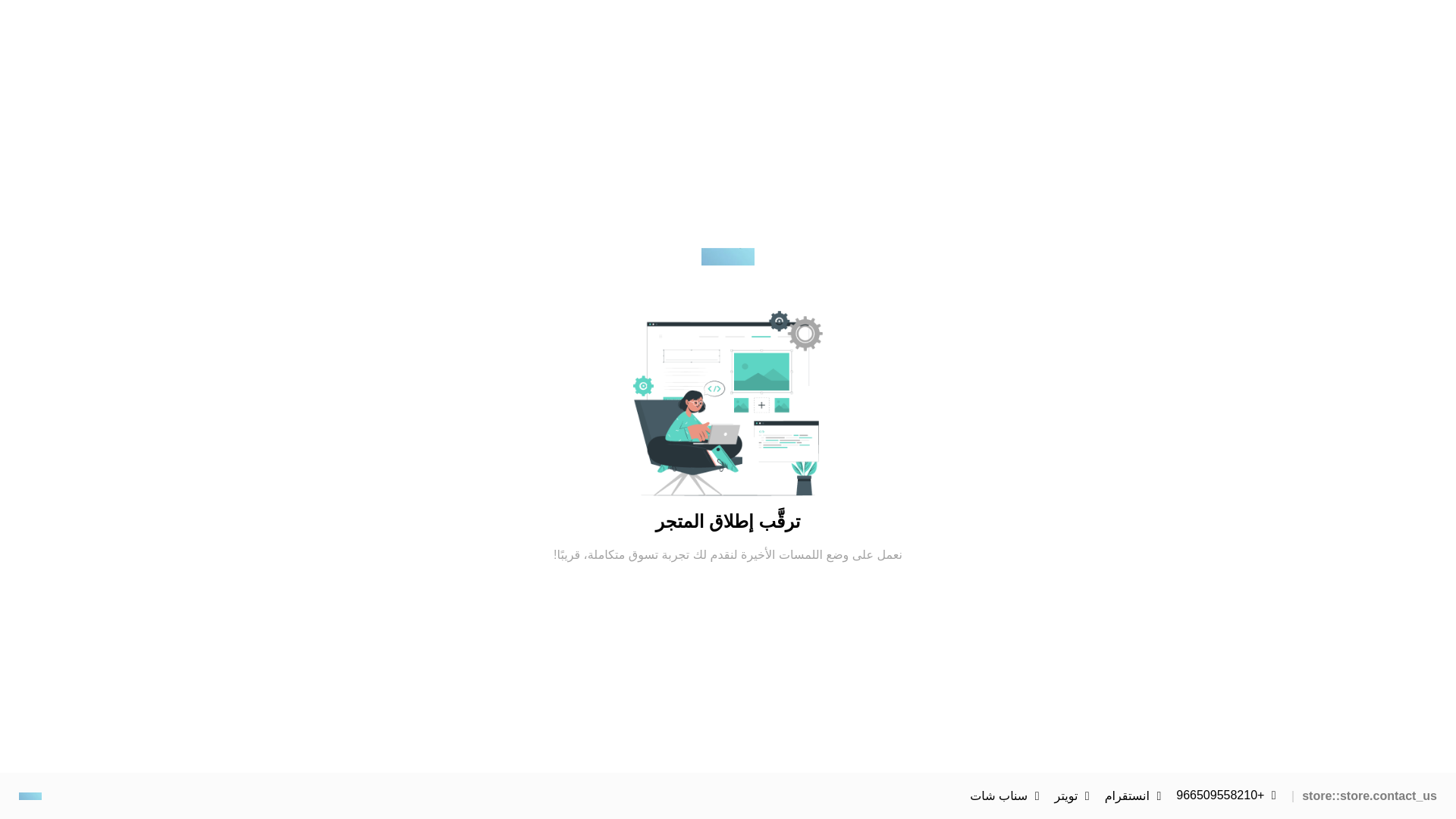 website screenshot of https://lamsh-sa.com/