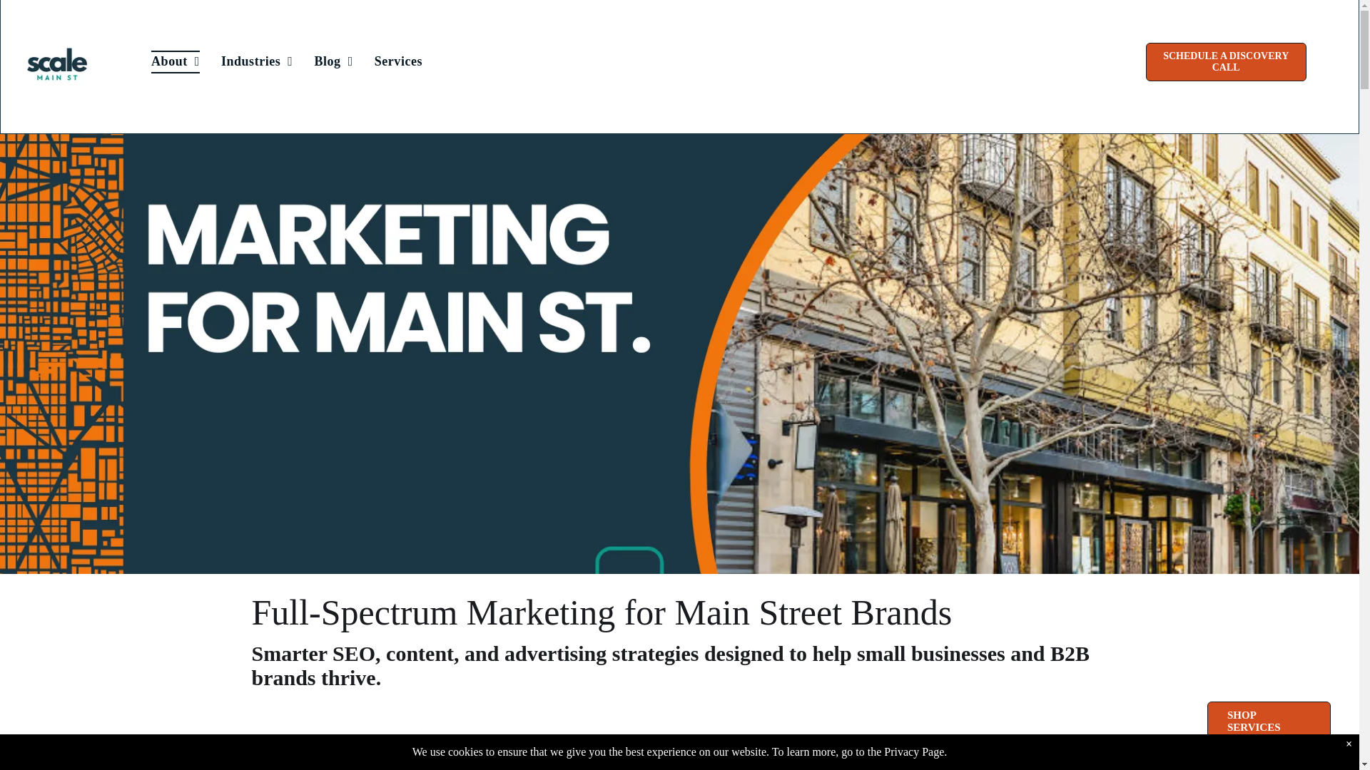 website screenshot of https://tryscalemainst.com/