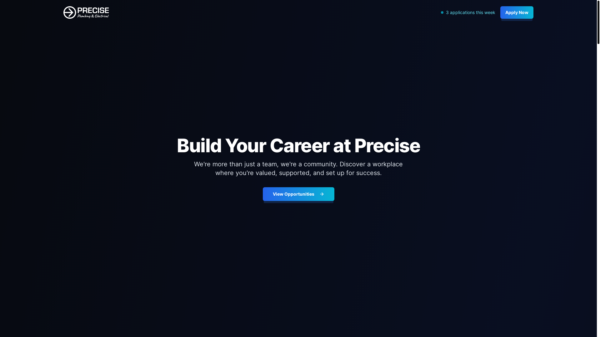 website screenshot of https://preciseemployment.com.au/