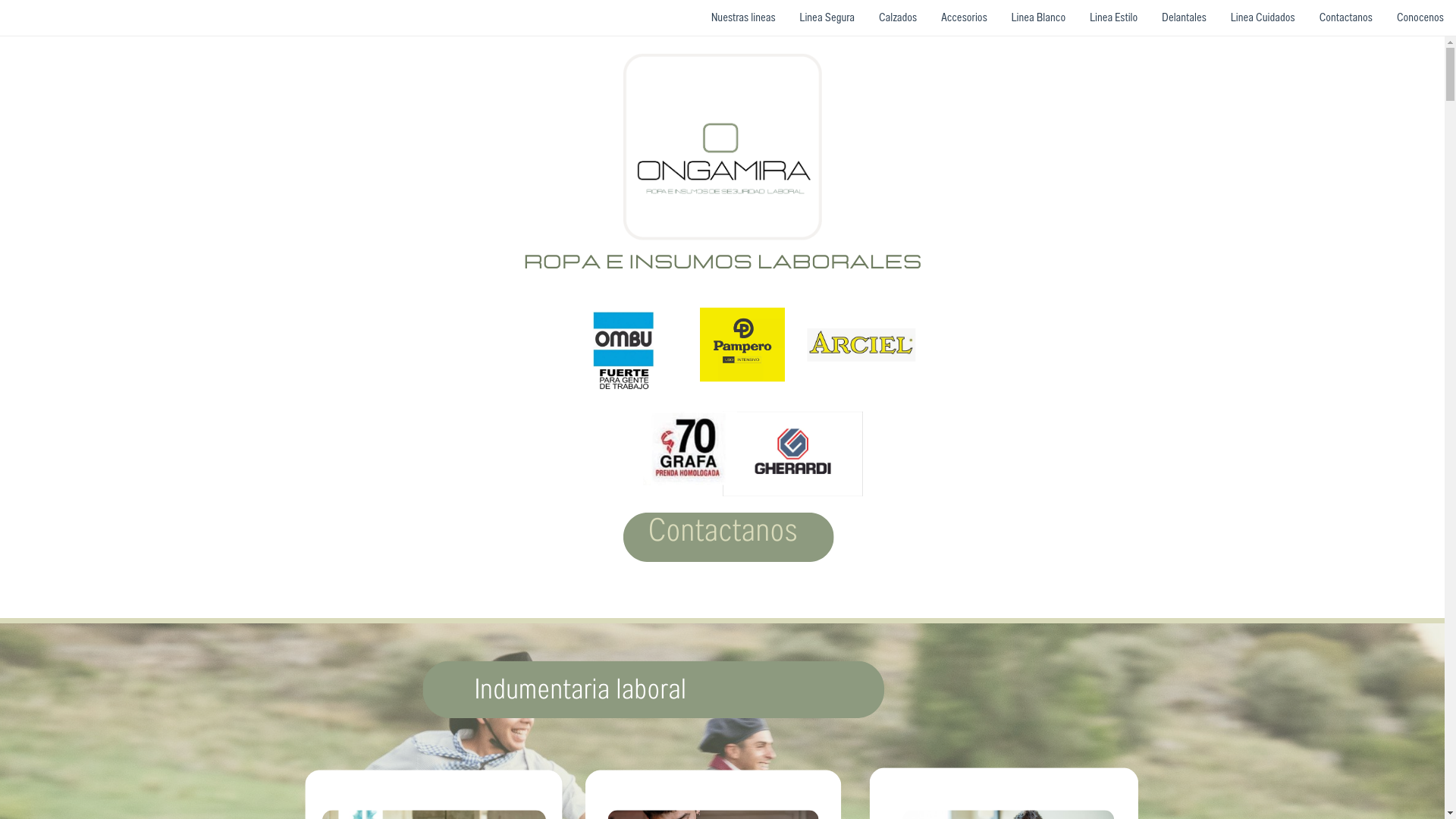website screenshot of https://ongamiraropa.com/