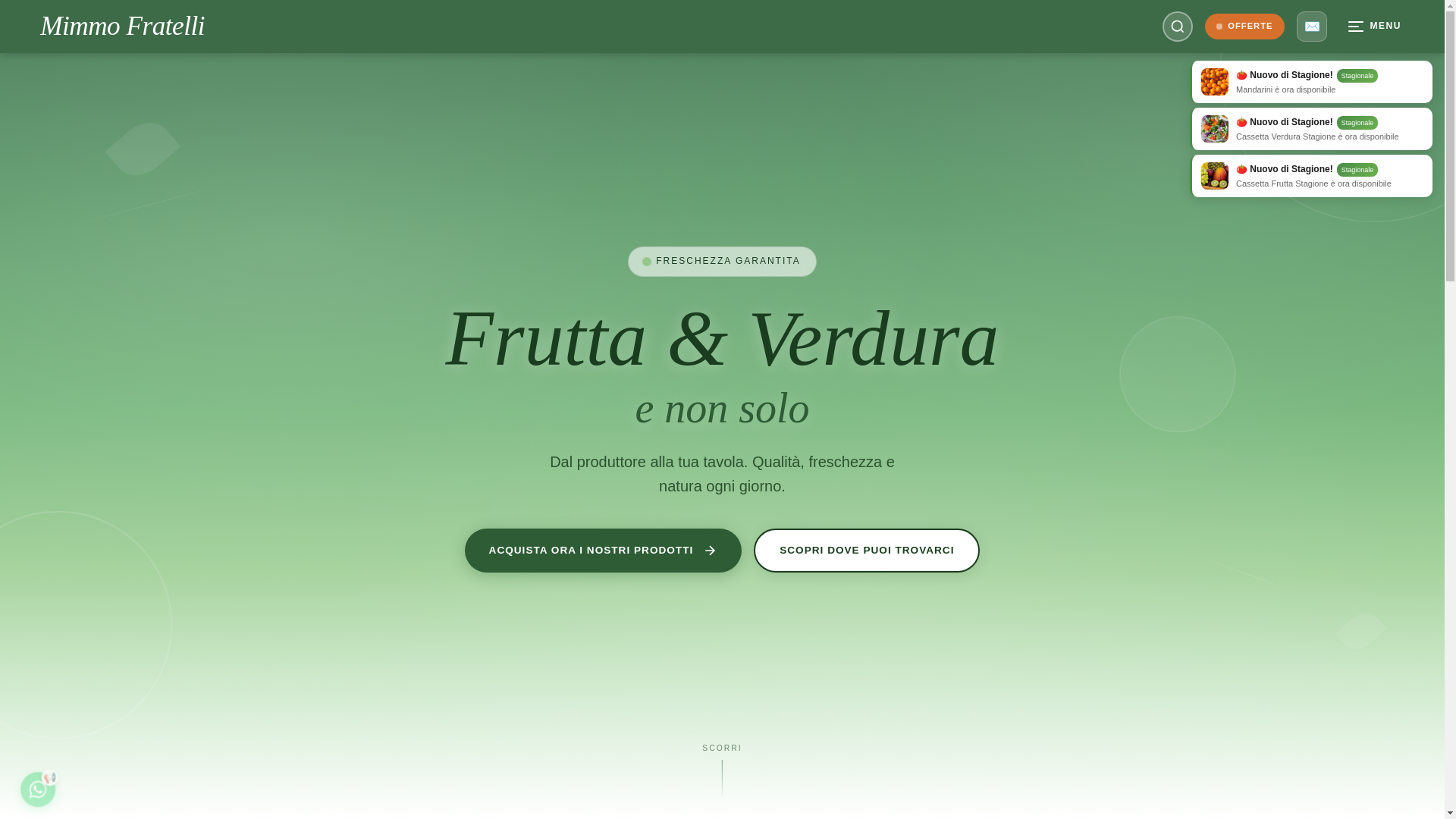website screenshot of https://mimmofratelli.com/