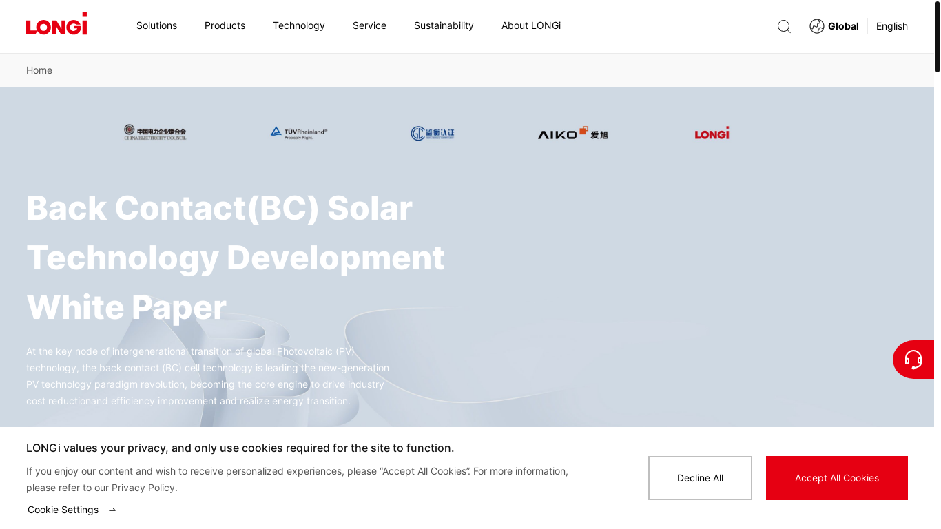 website screenshot of https://www.longi.com/en/