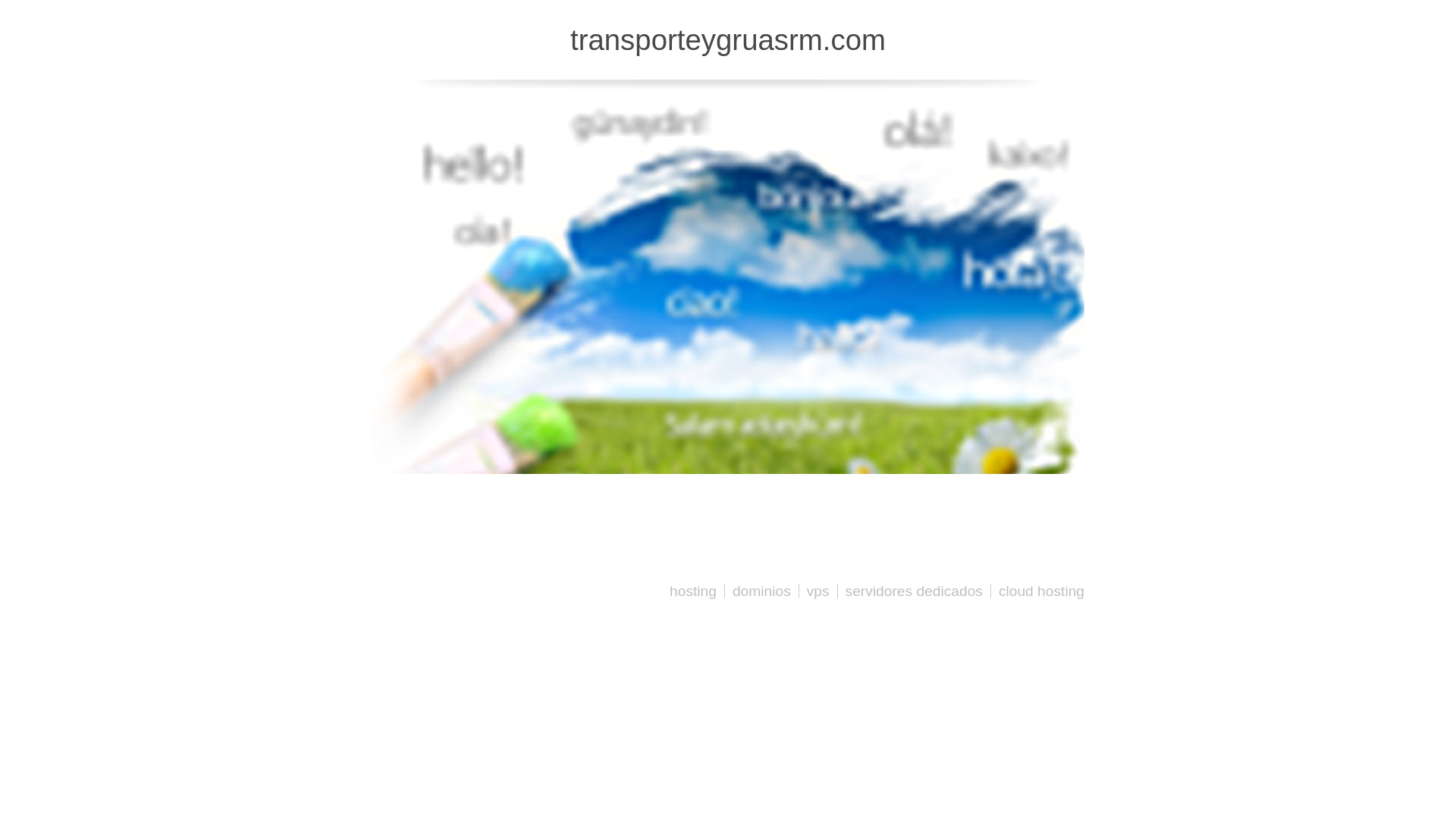 website screenshot of https://transporteygruasrm.com/