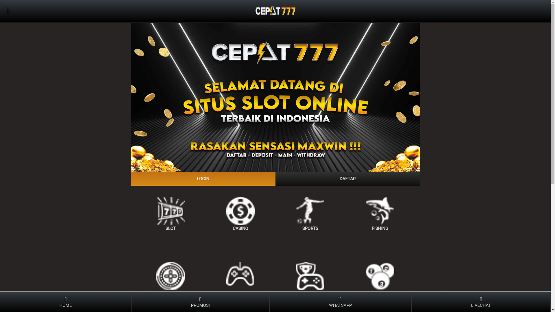 website screenshot of https://akademiaamnestyamp.pages.dev/