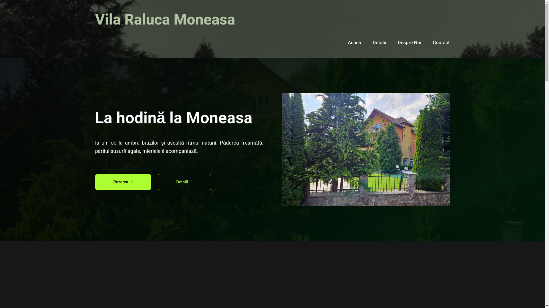 website screenshot of https://vila-raluca-static.pages.dev/