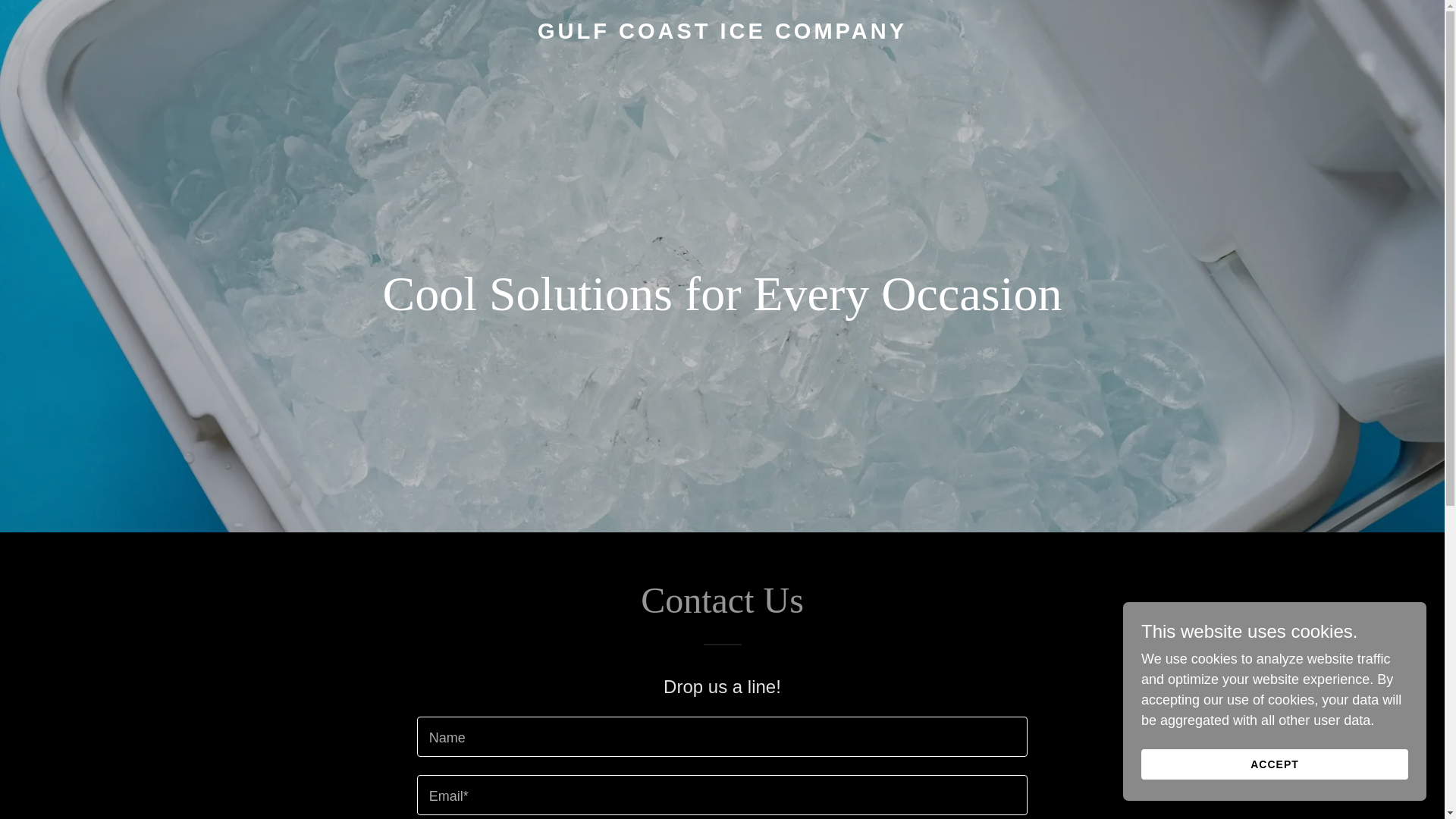 website screenshot of https://gulfcoasticeco.com/