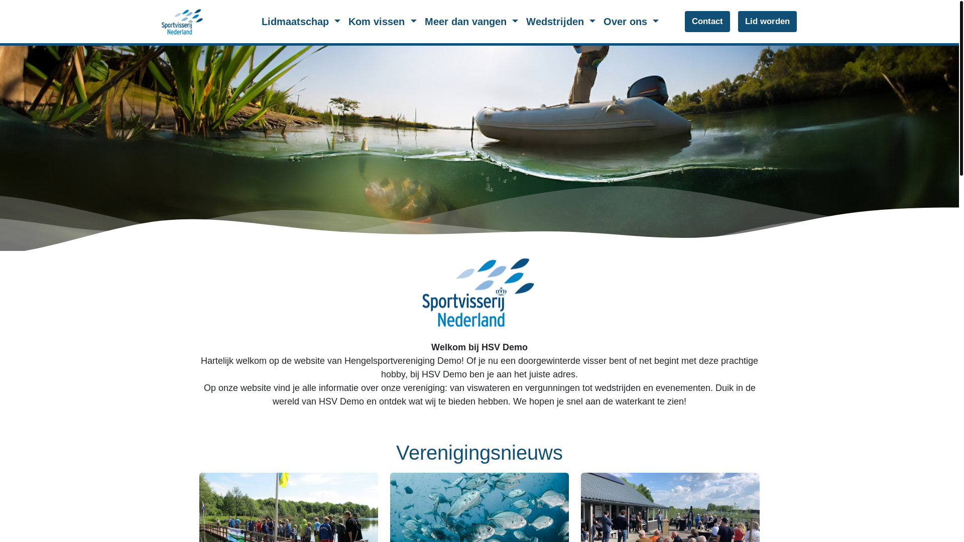 website screenshot of https://hsv-demo.pages.dev/