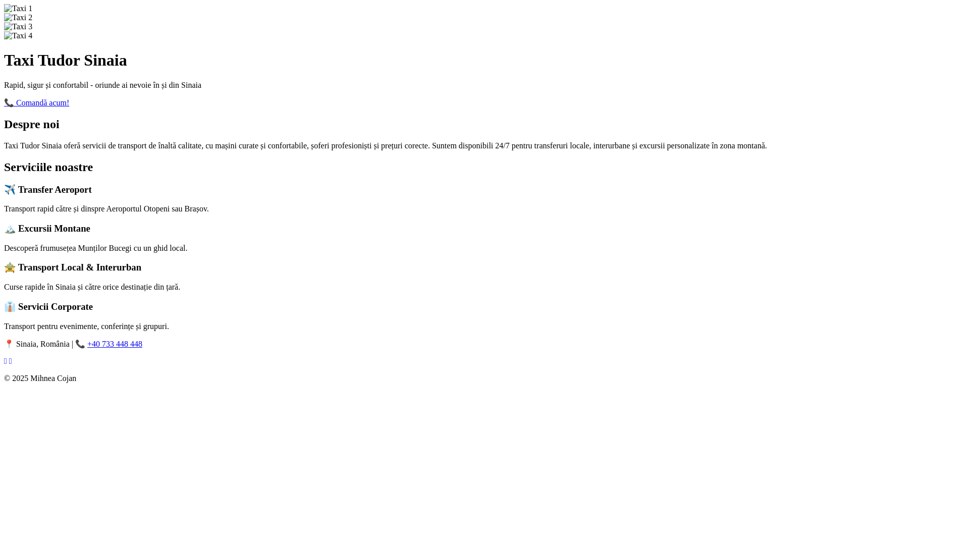 website screenshot of https://tdotaxisinaia.ro/