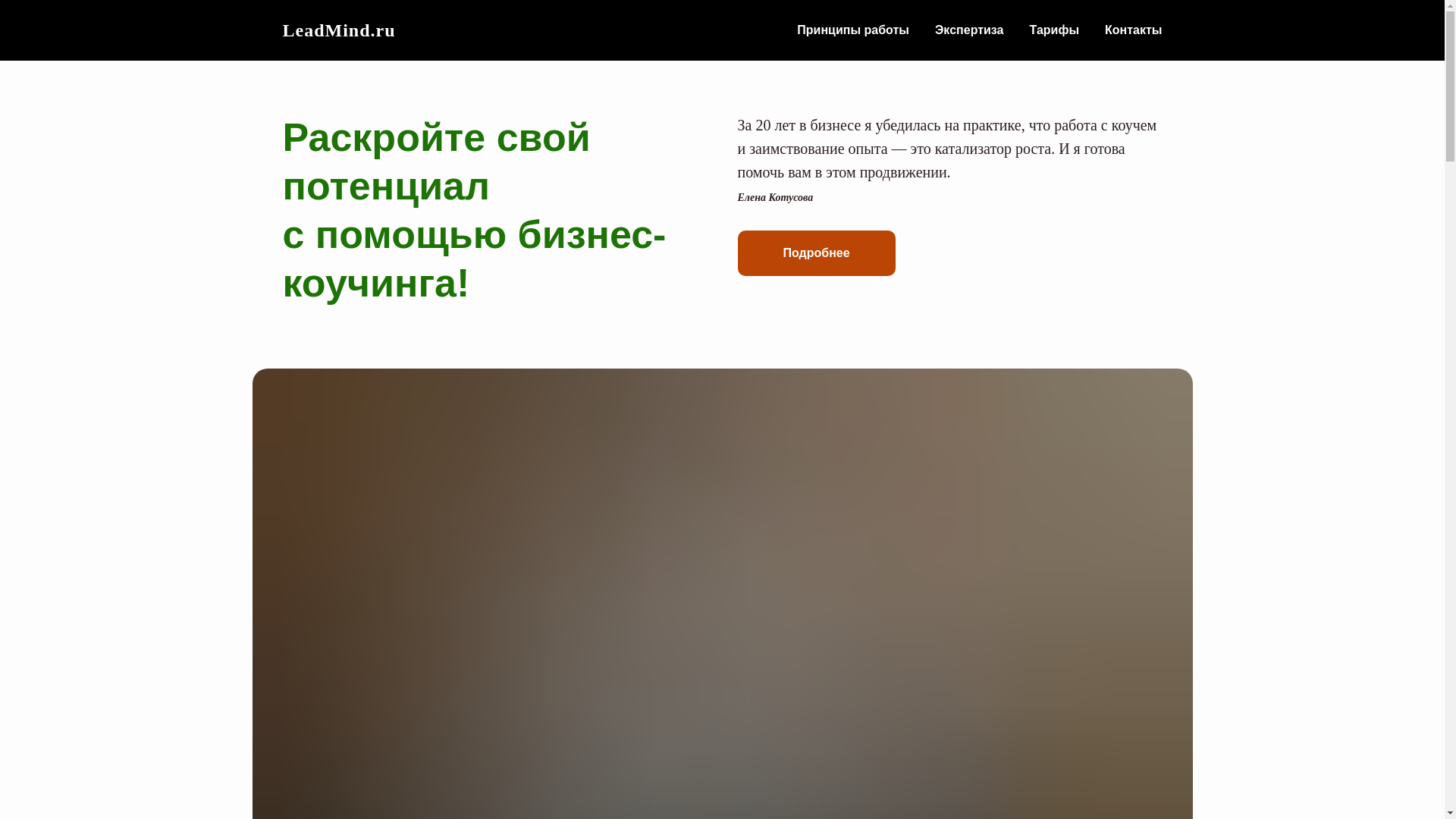 website screenshot of https://vectormind.ru/