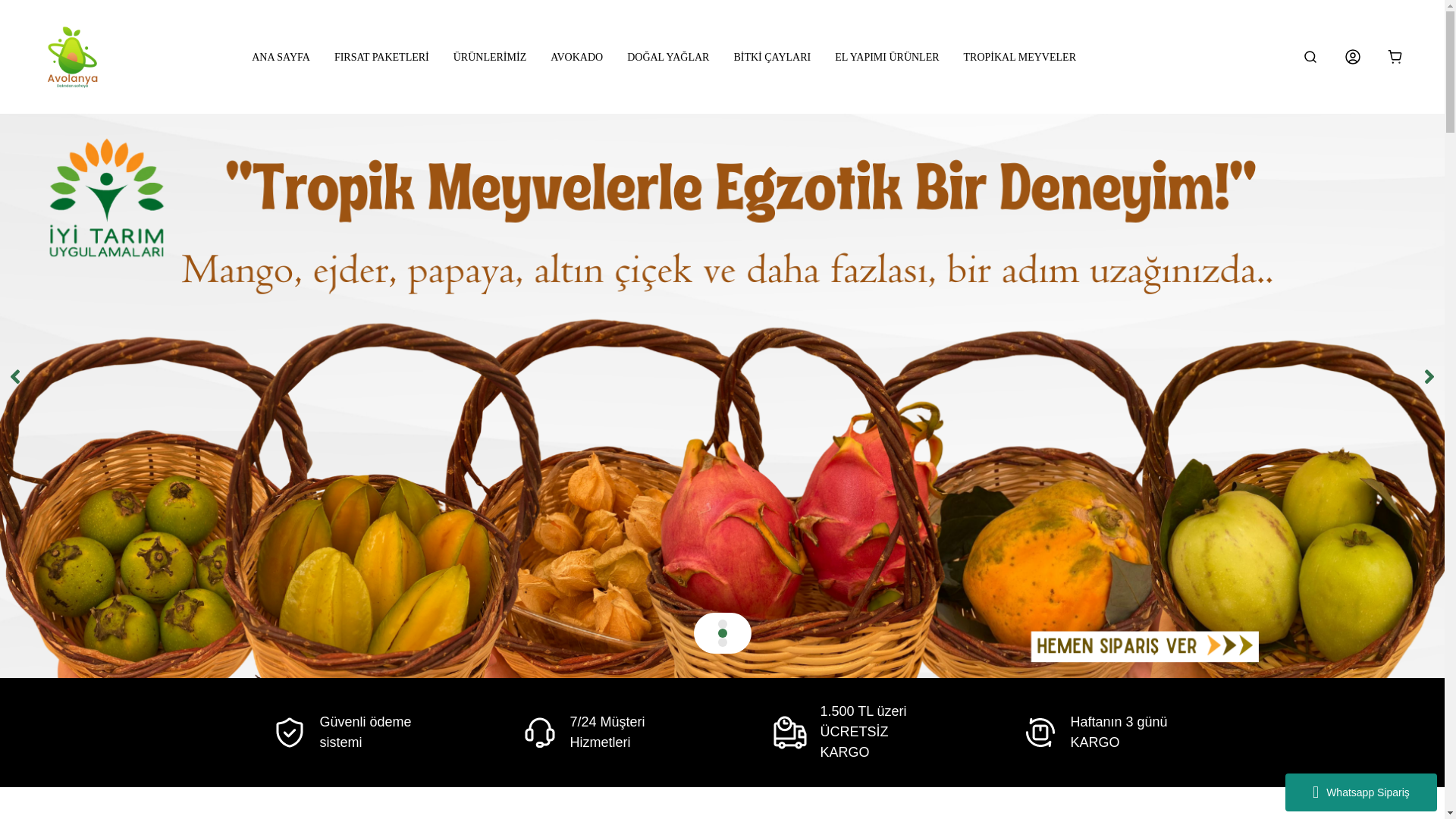 website screenshot of https://avolanya.com