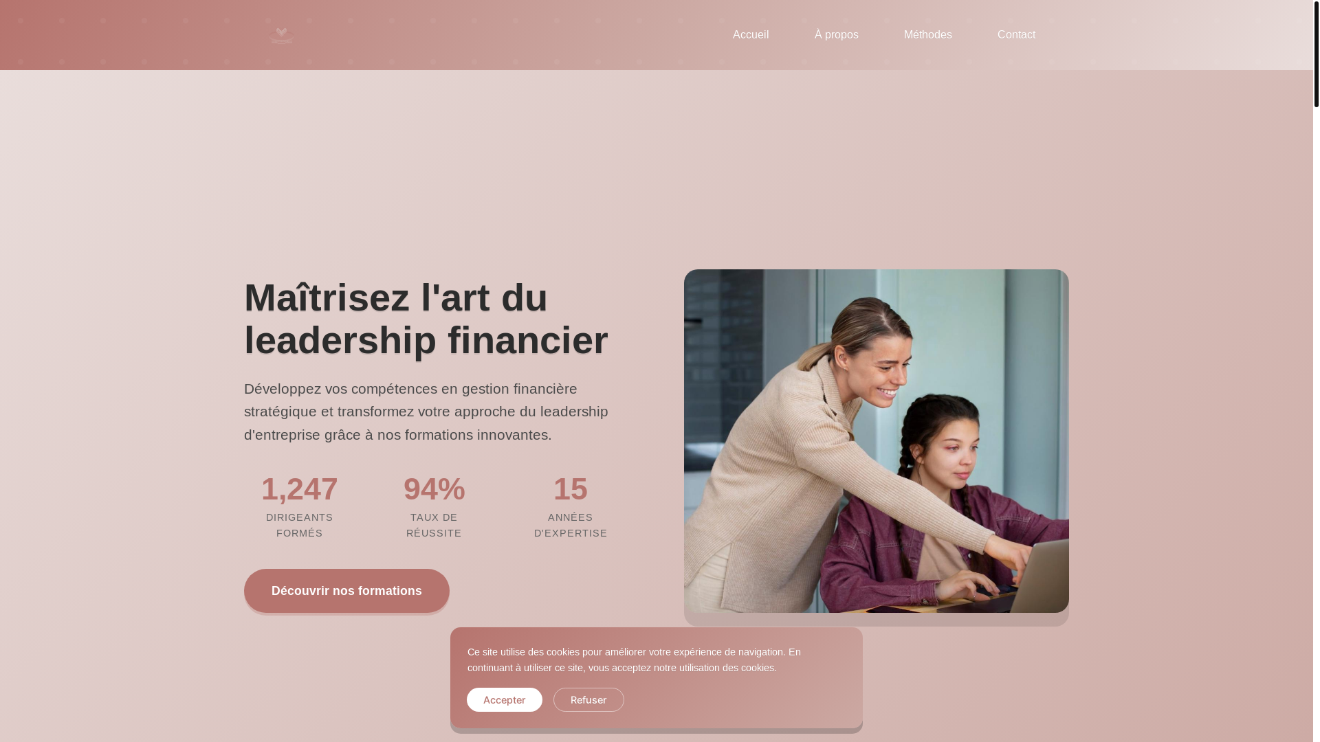 website screenshot of https://metaventostelleon.org/