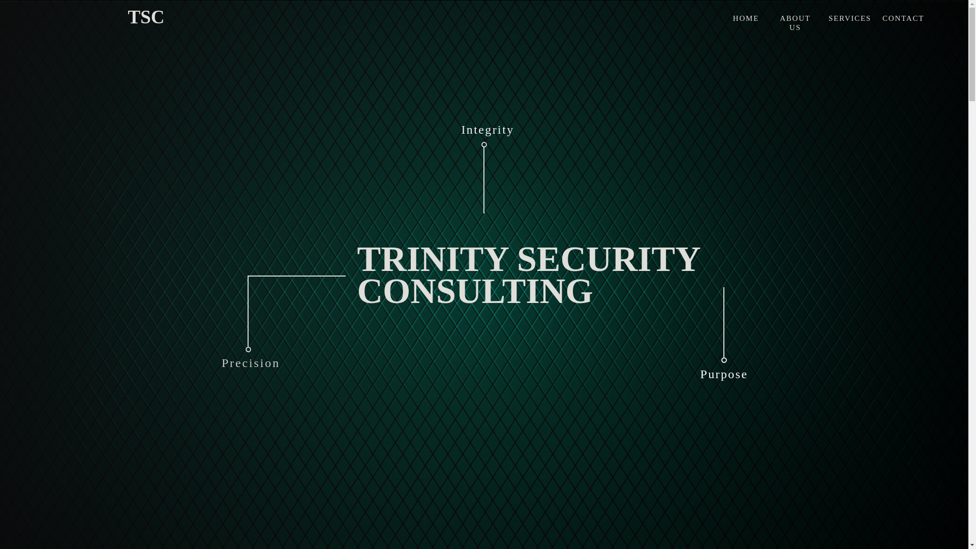 website screenshot of https://trinitysecurityconsulting.com/
