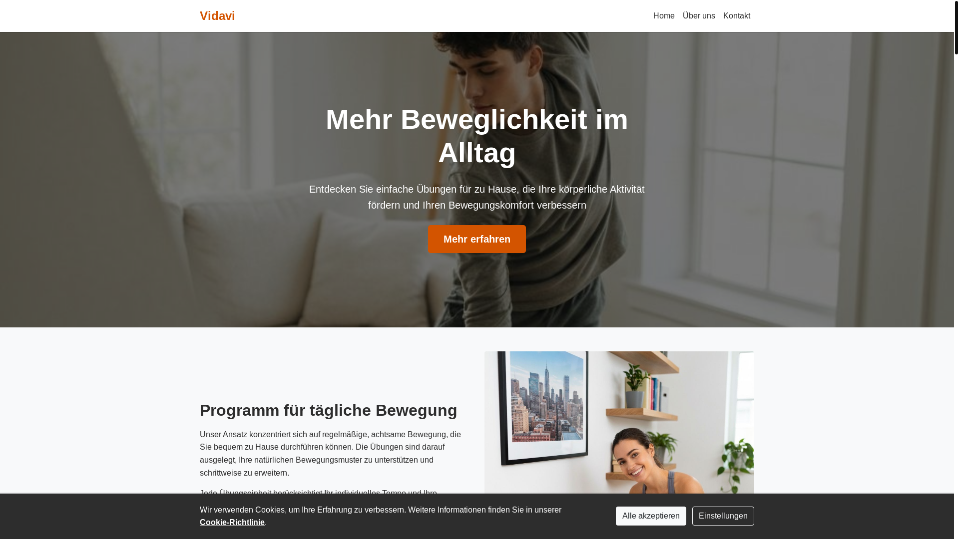 website screenshot of https://vidavilk.info/