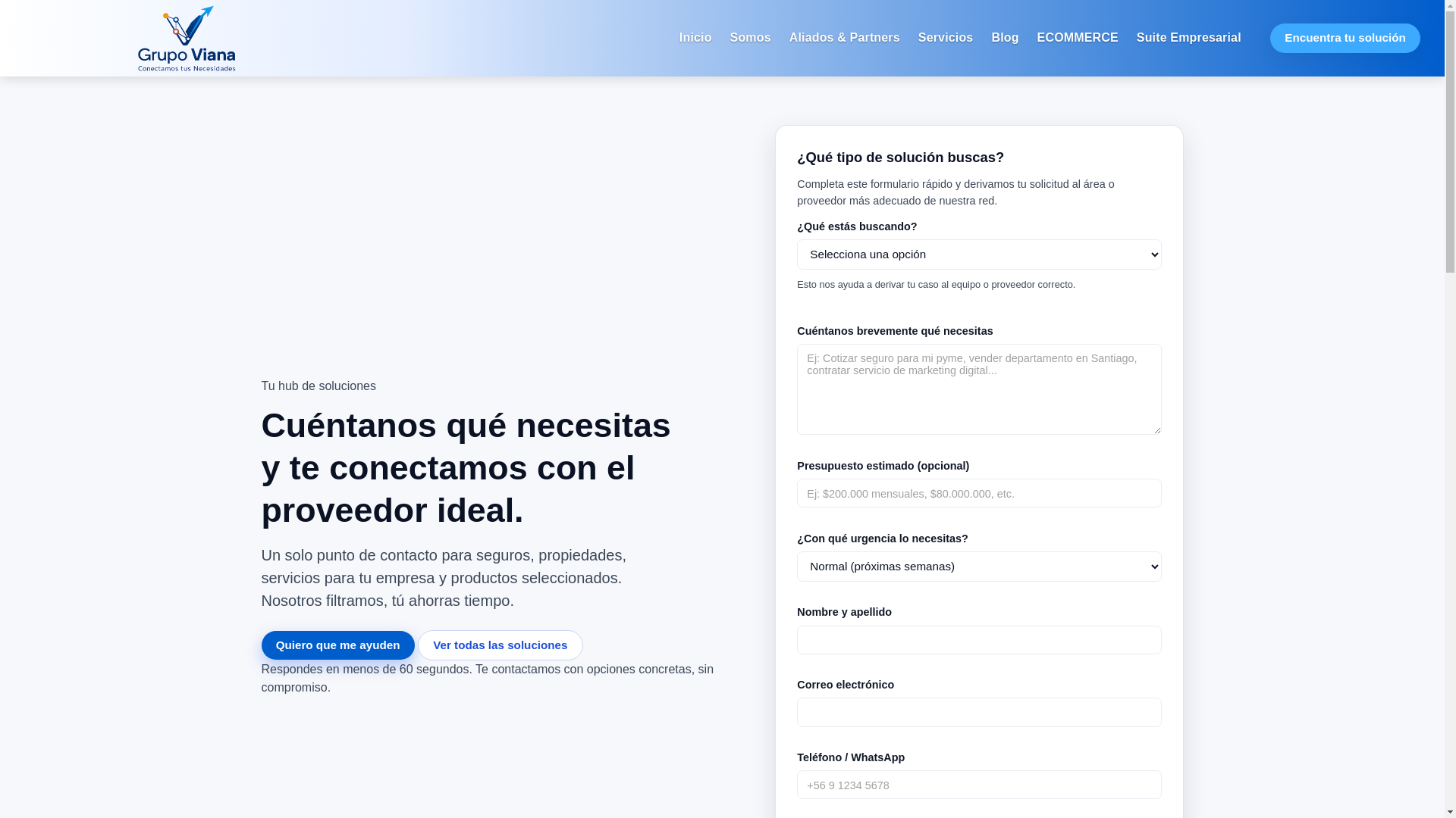 website screenshot of https://grupoviana.cl/