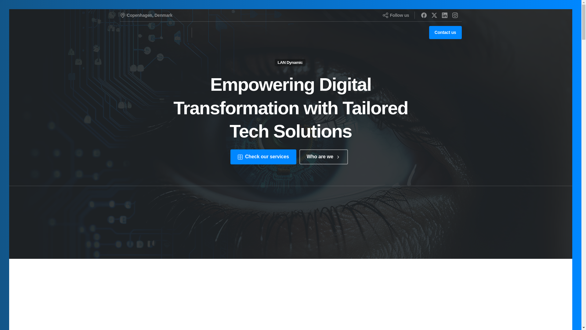 website screenshot of https://landynamic.email/