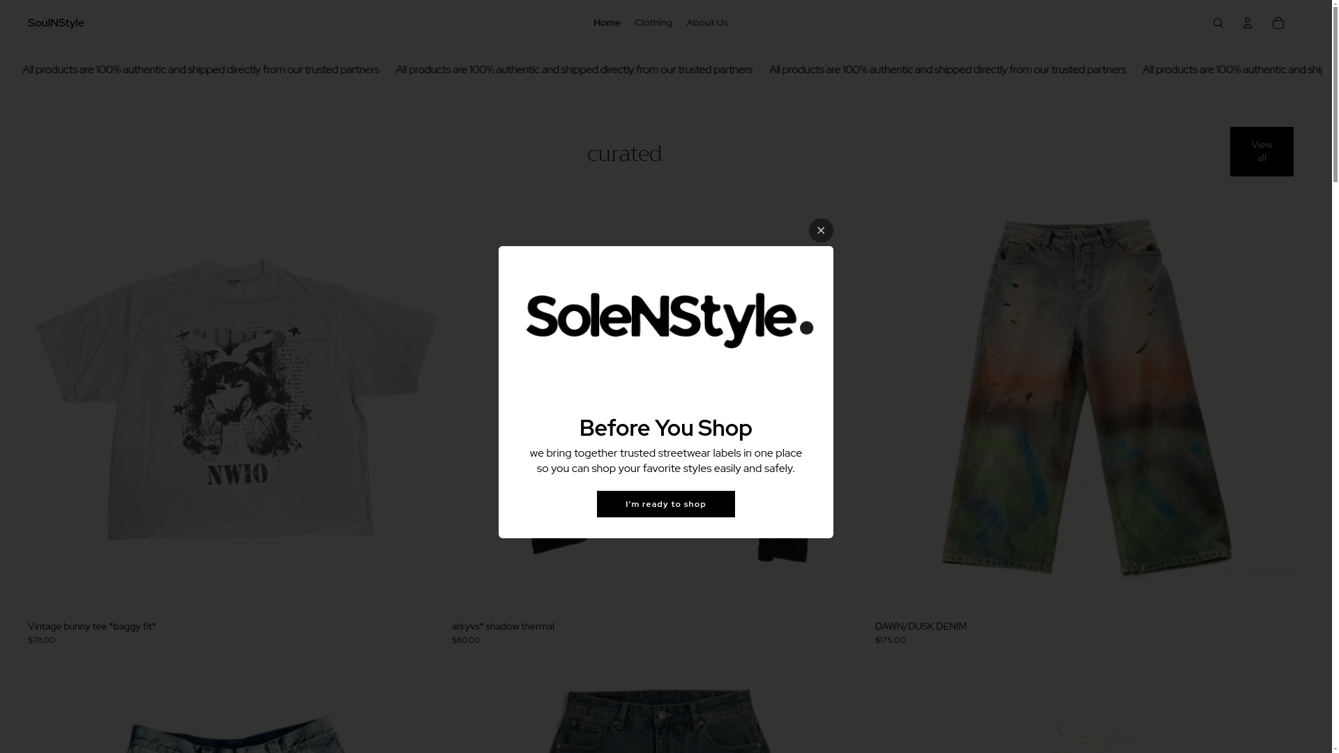 website screenshot of https://soulnstyle.site/