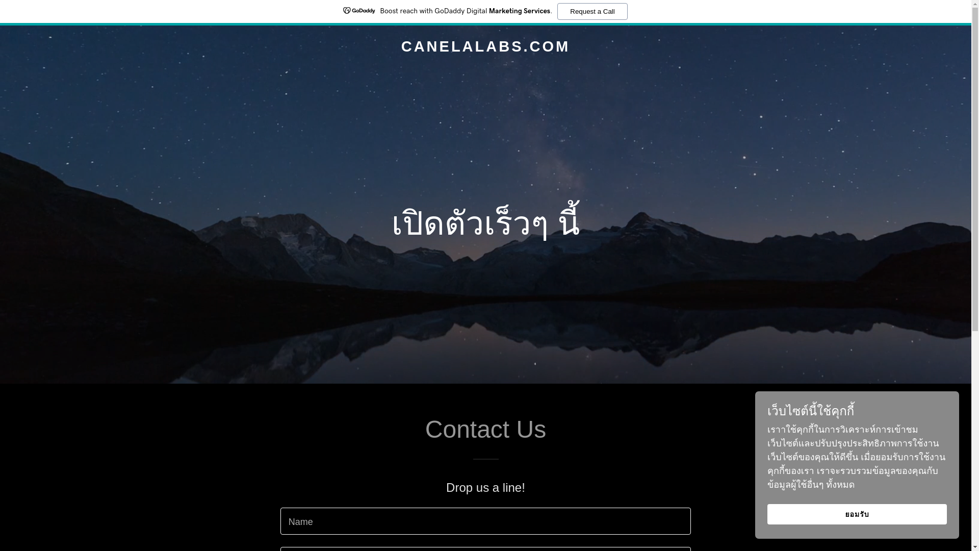 website screenshot of https://canelalabs.com/